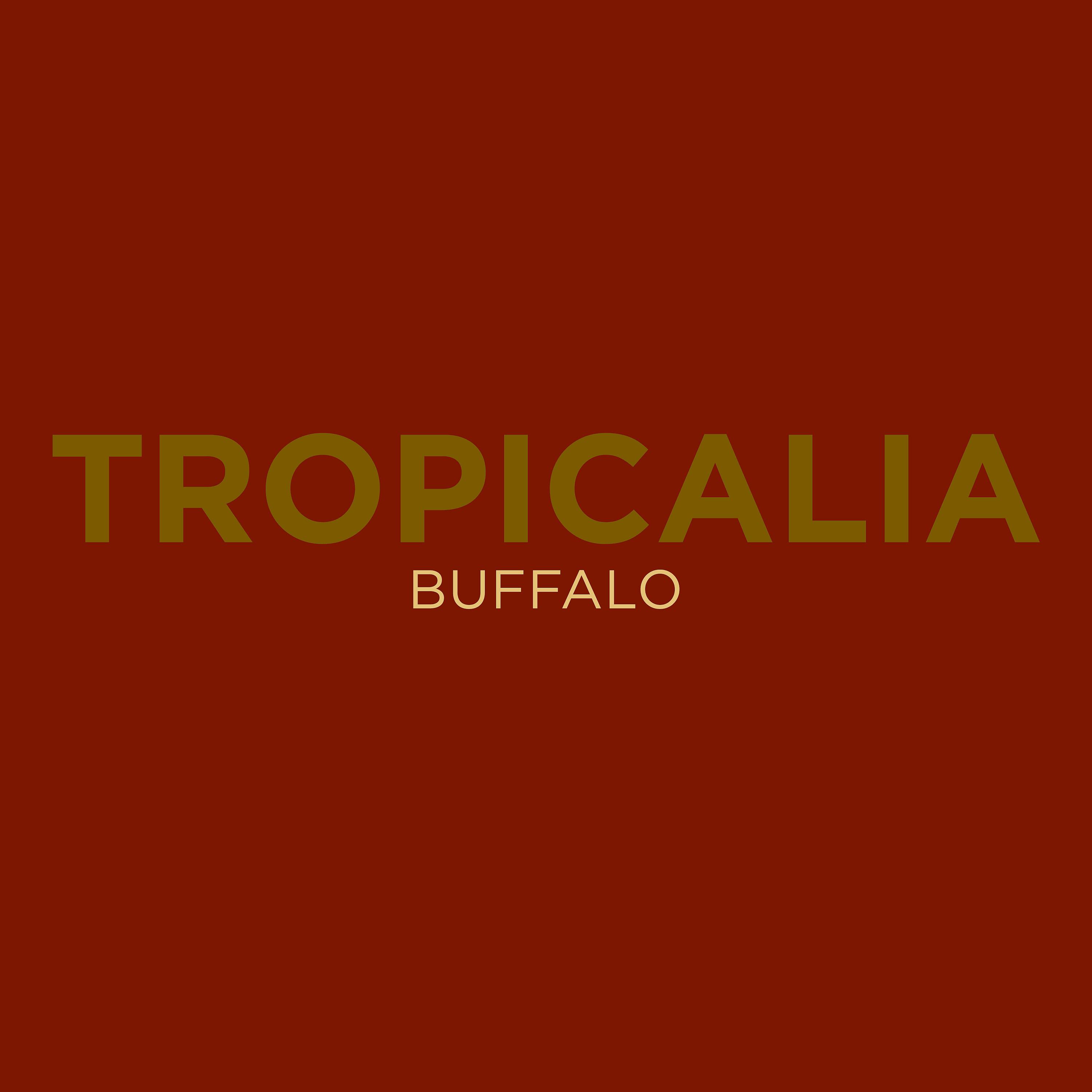 Постер альбома Tropicalia
