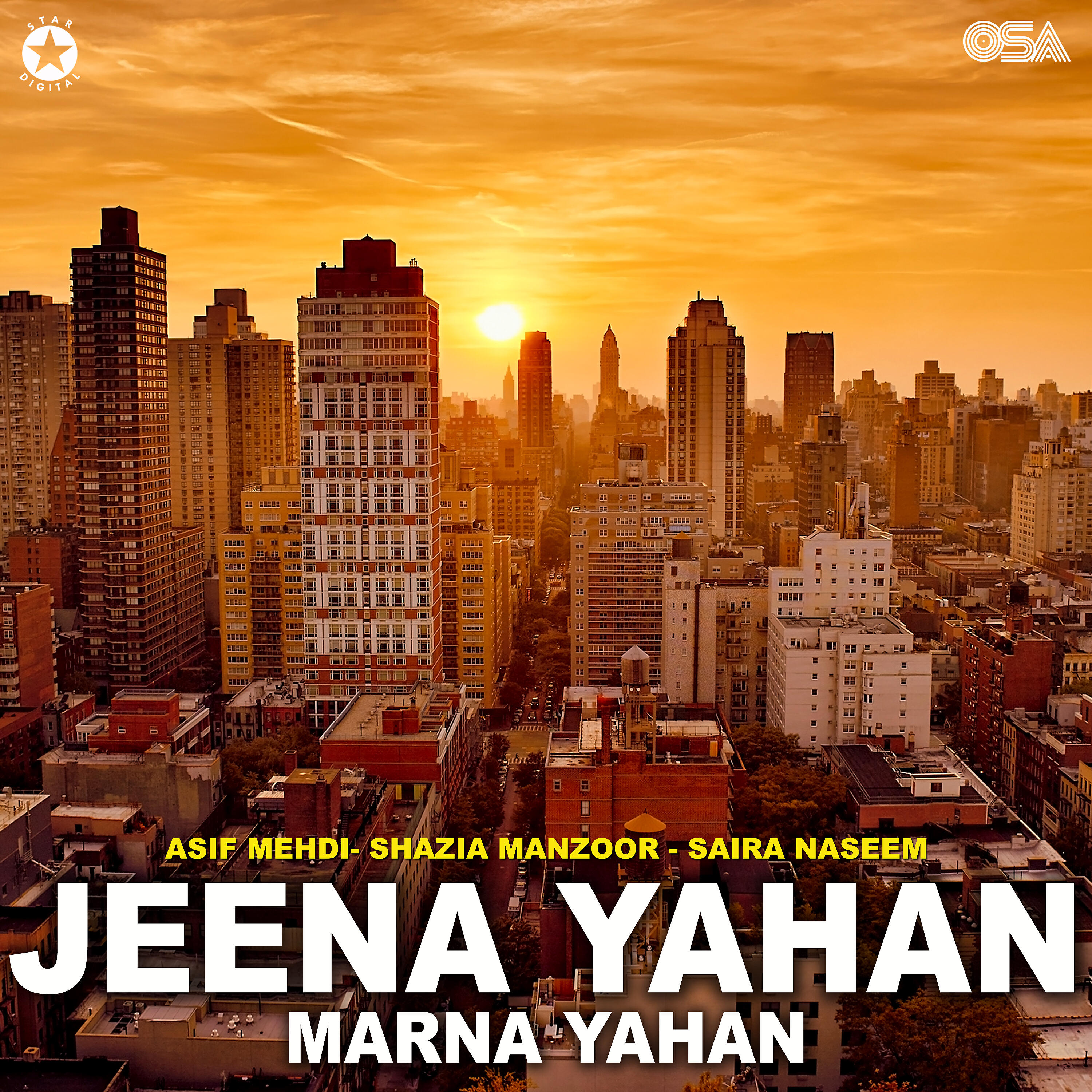 Shazia Manzoor - Sholon Ko Na De Hawa