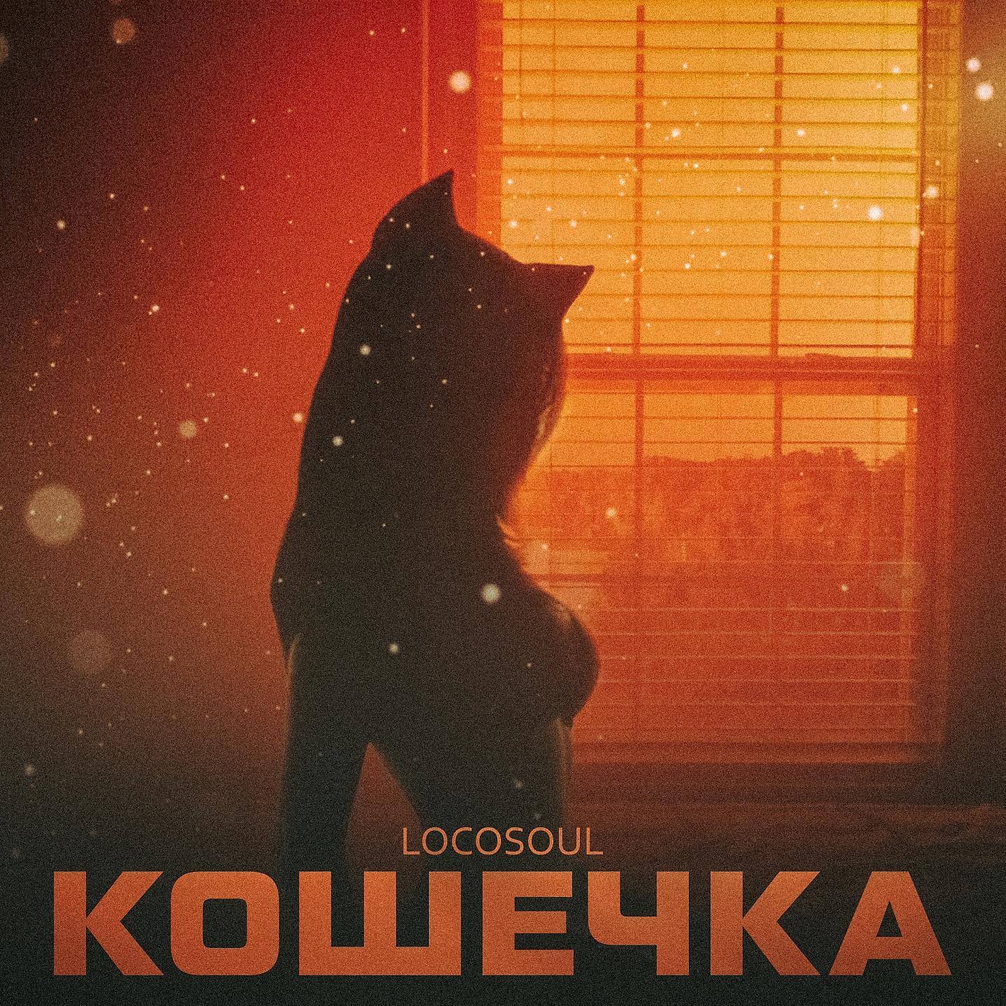 Постер альбома Кошечка