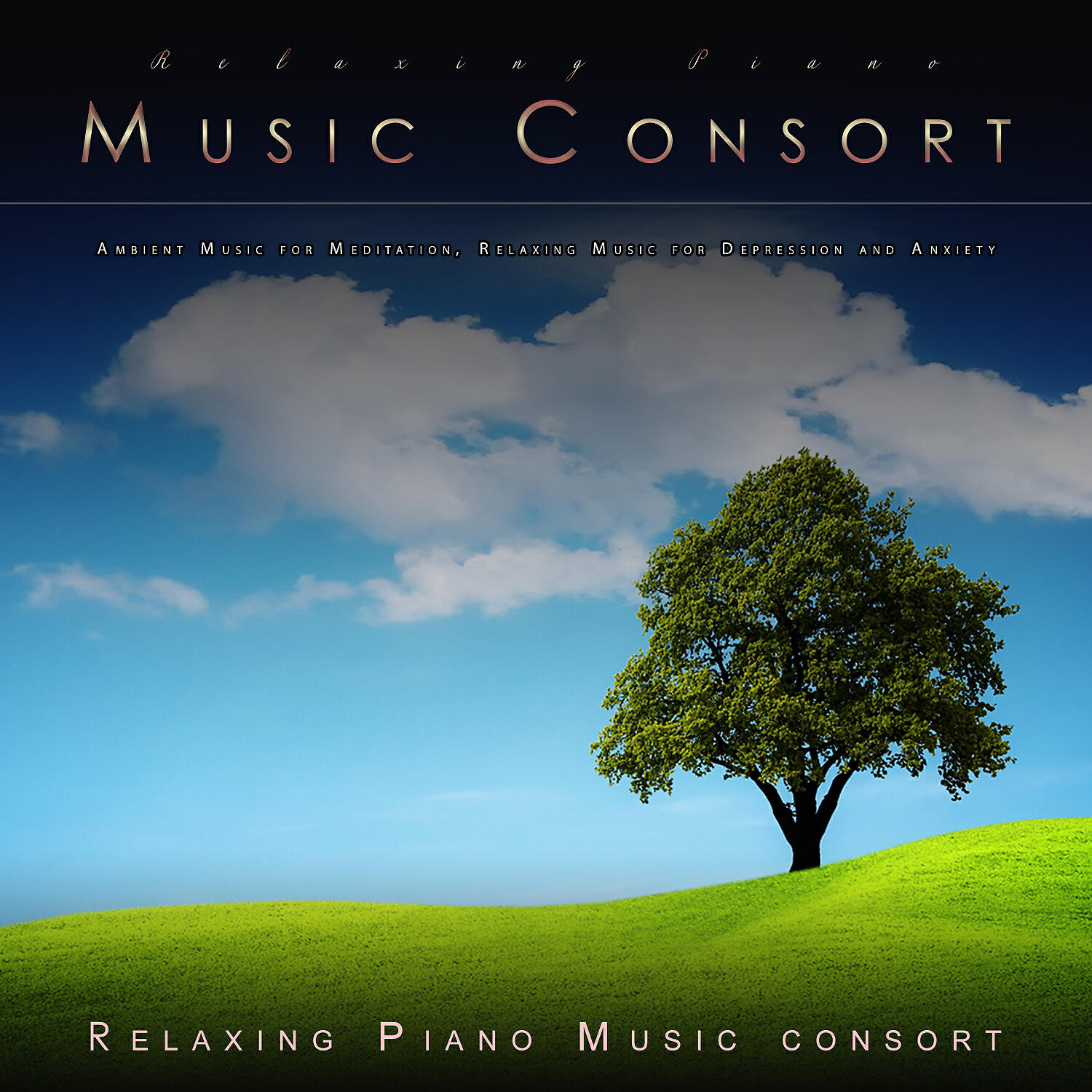 Relaxing Piano Music Consort - Stress Relief Music For Meditation