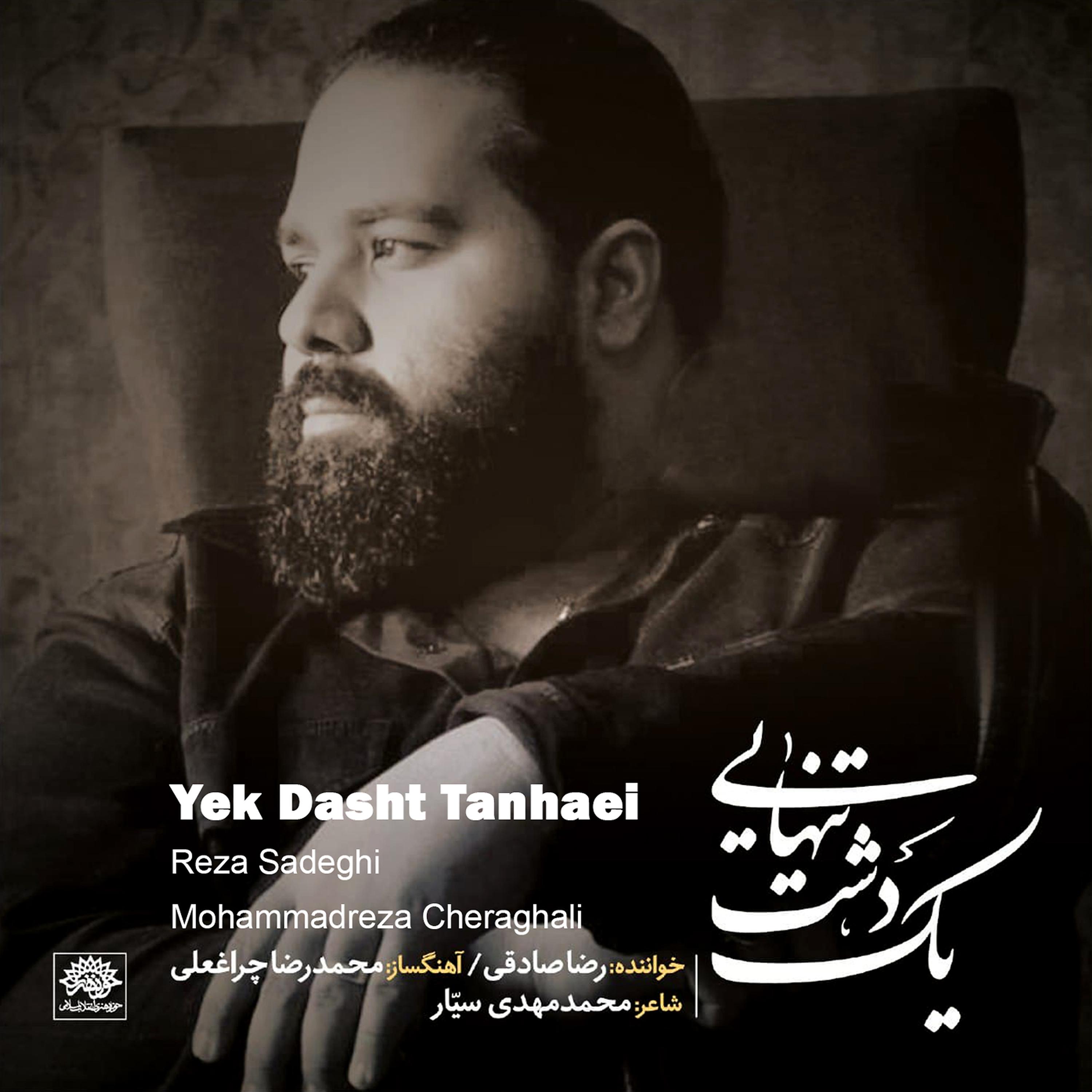 Постер альбома Yek Dasht Tanhaei