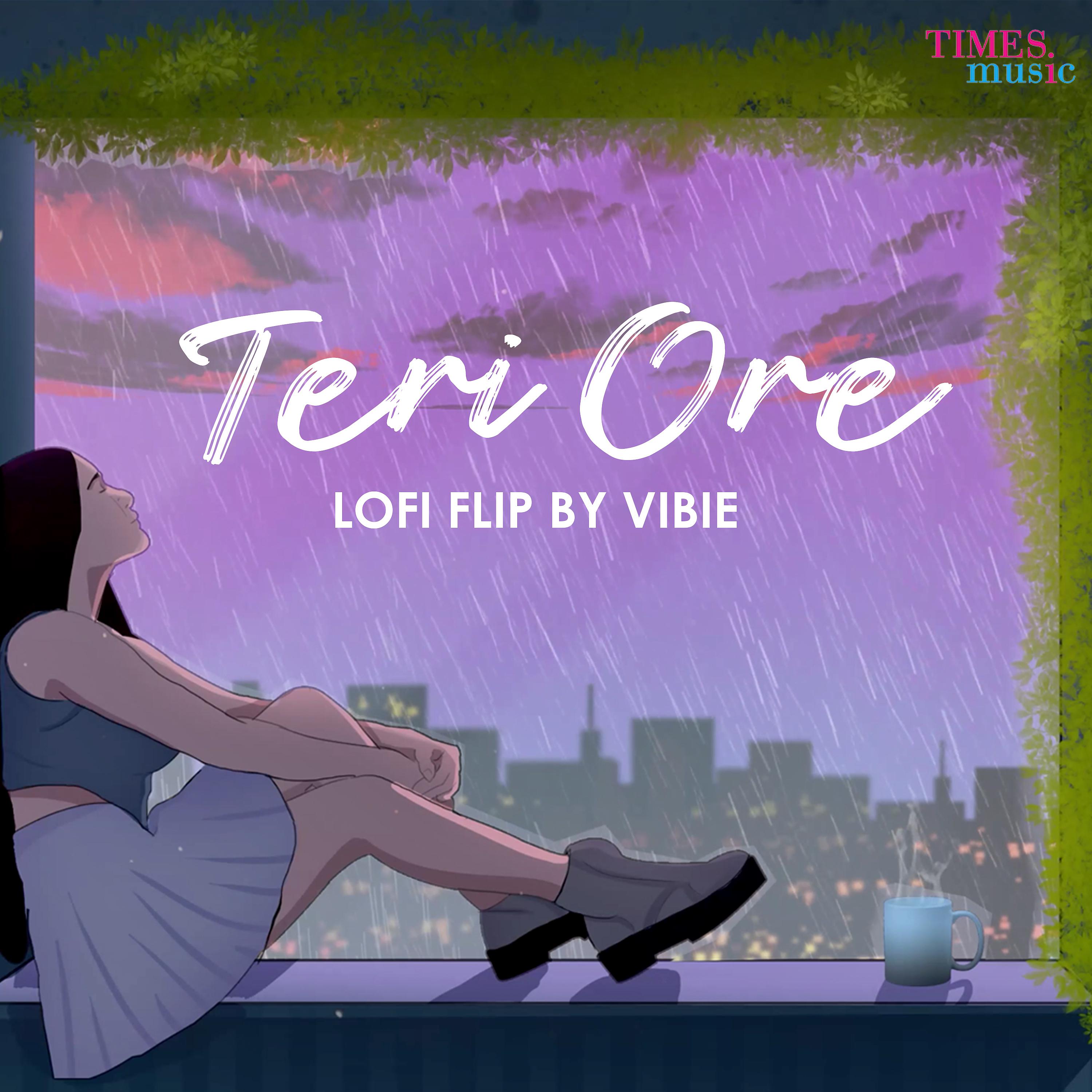 Постер альбома Teri Ore (Lo-Fi Flip)