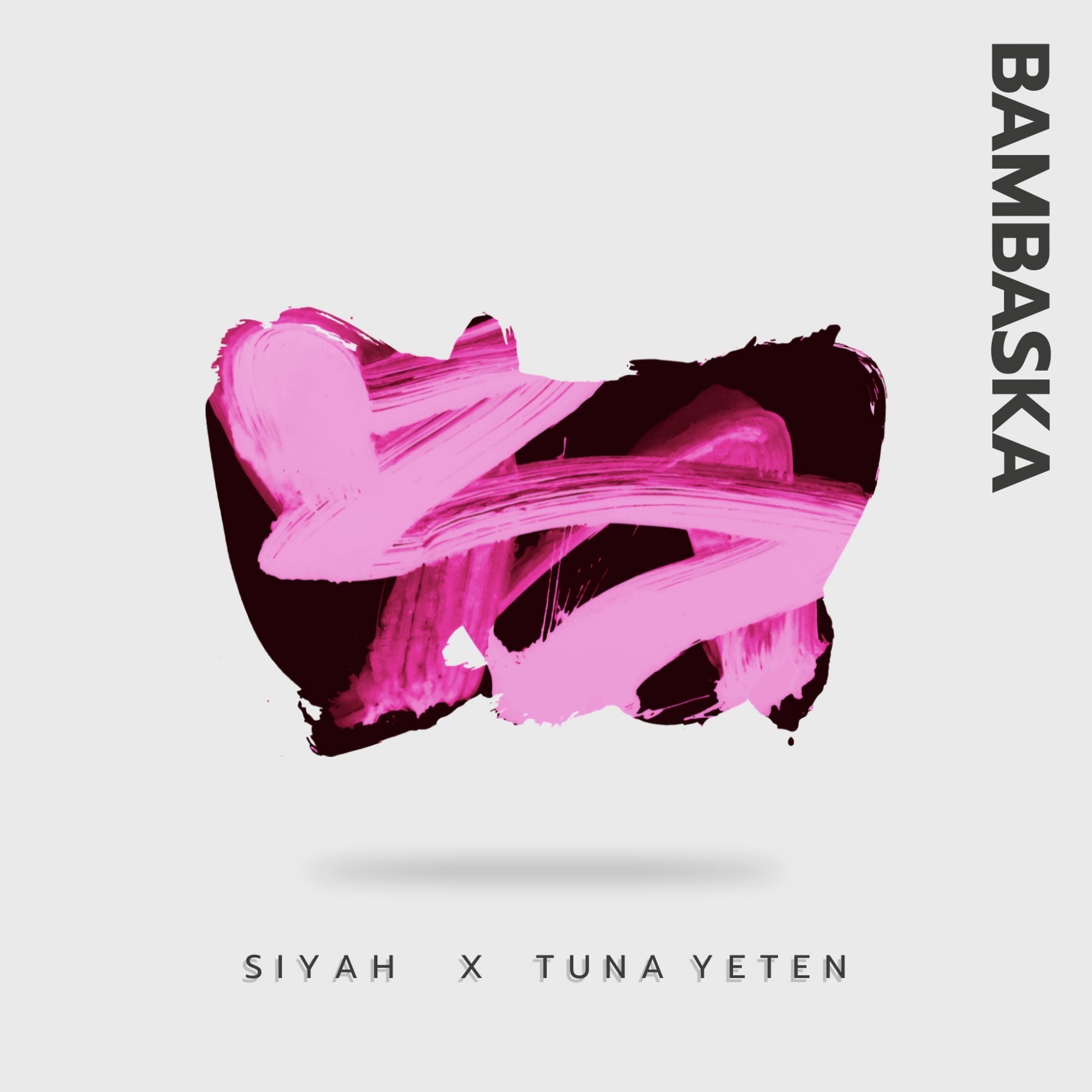 Постер альбома BAMBAŞKA