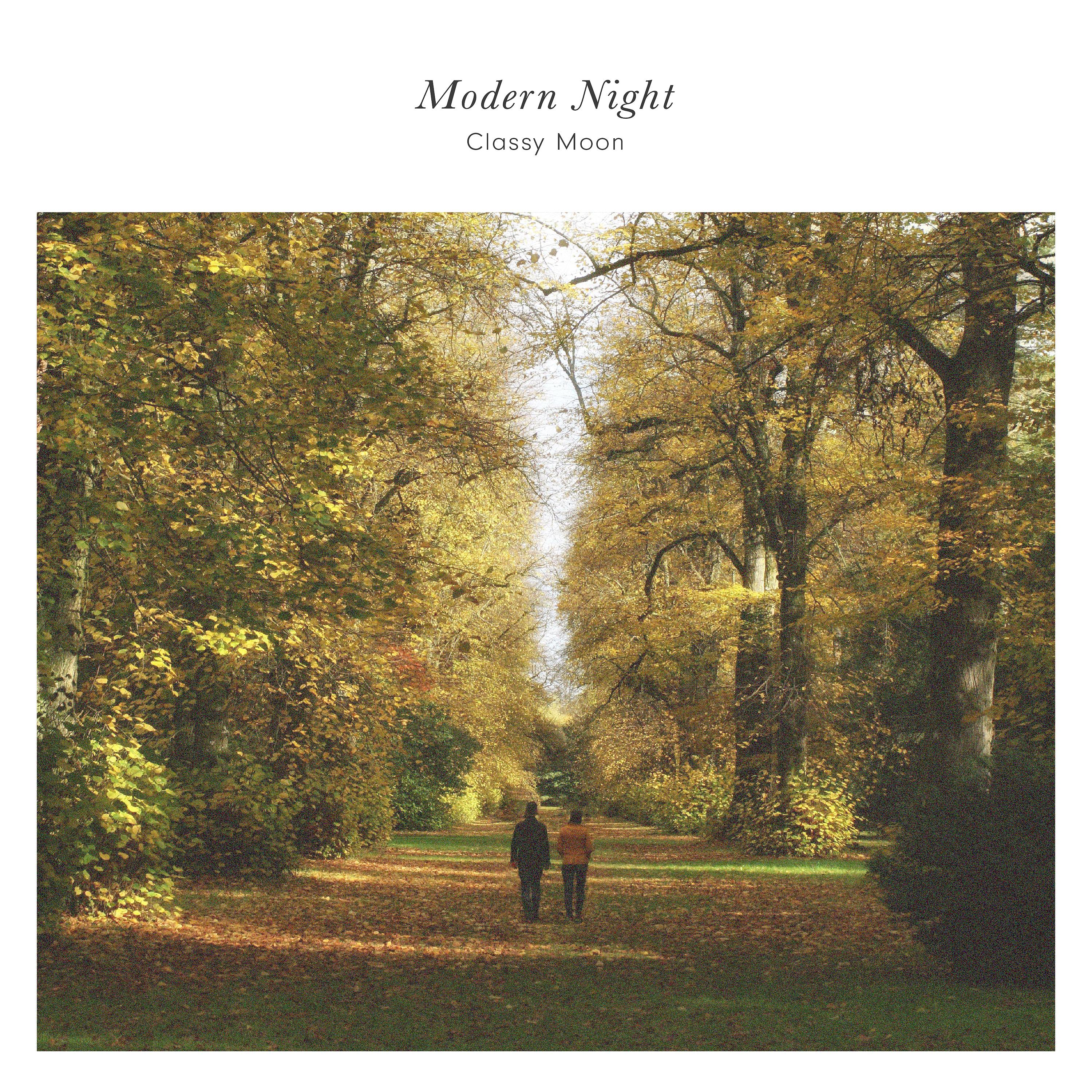 Постер альбома Modern Night