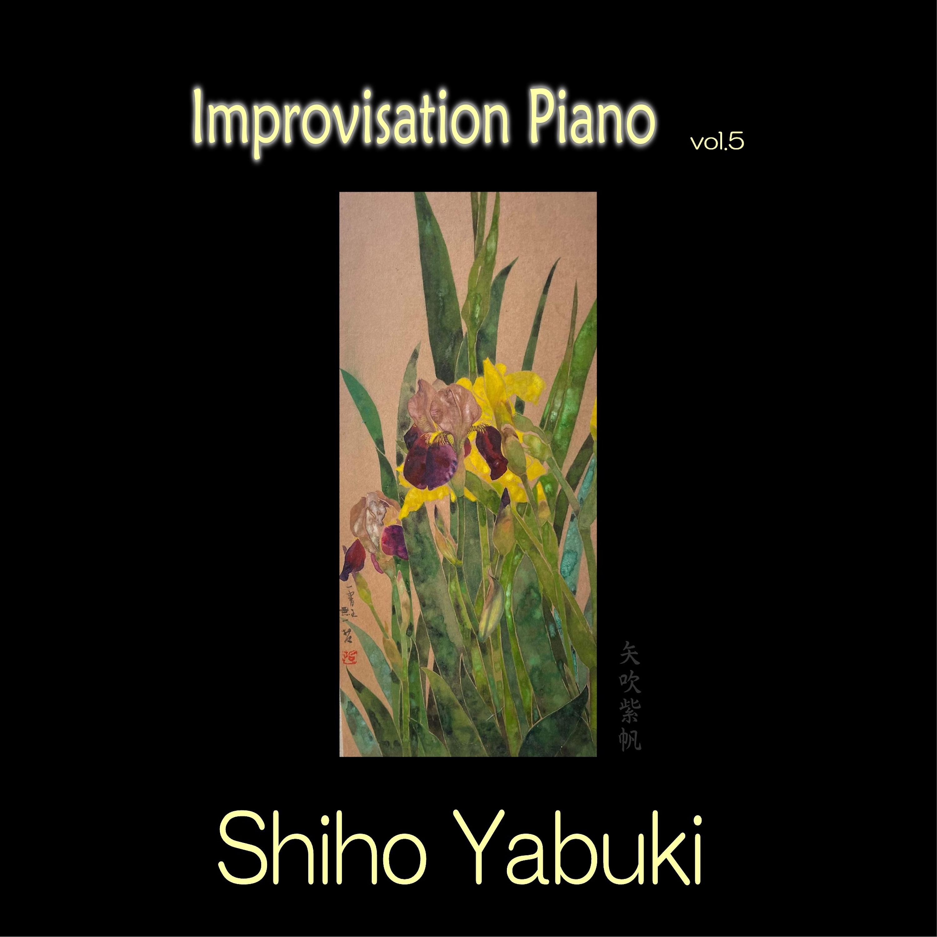 Постер альбома Improvisation Piano Vol.5