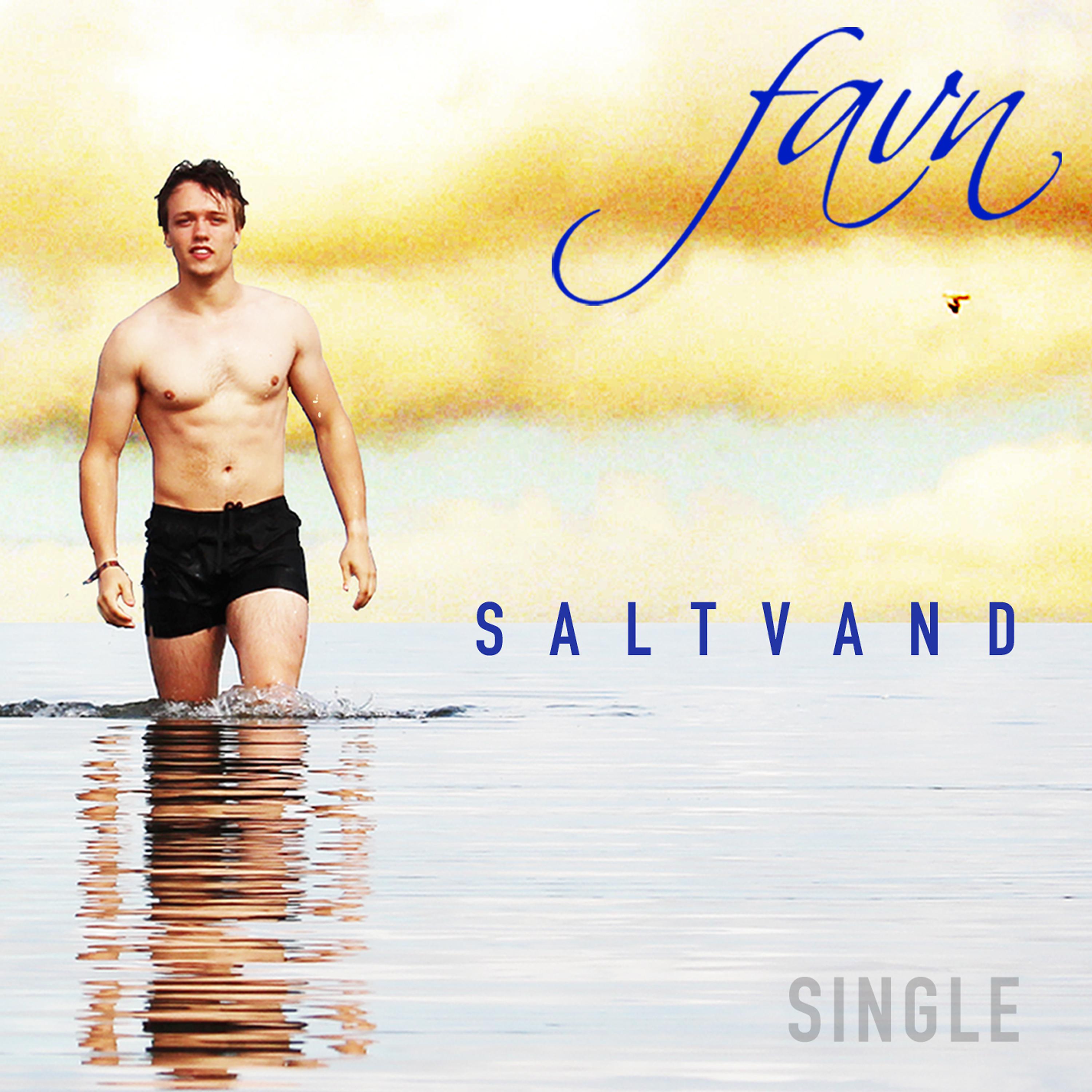 Постер альбома Saltvand