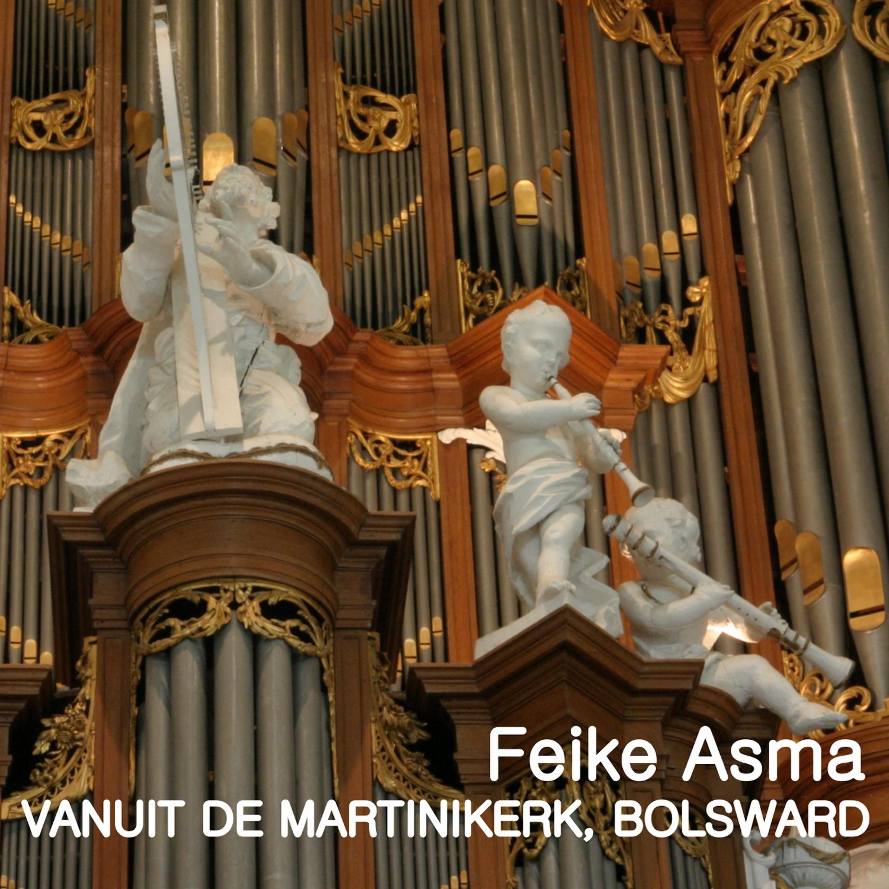 Постер альбома Feike Asma in de Martinkerk, Bolswaard