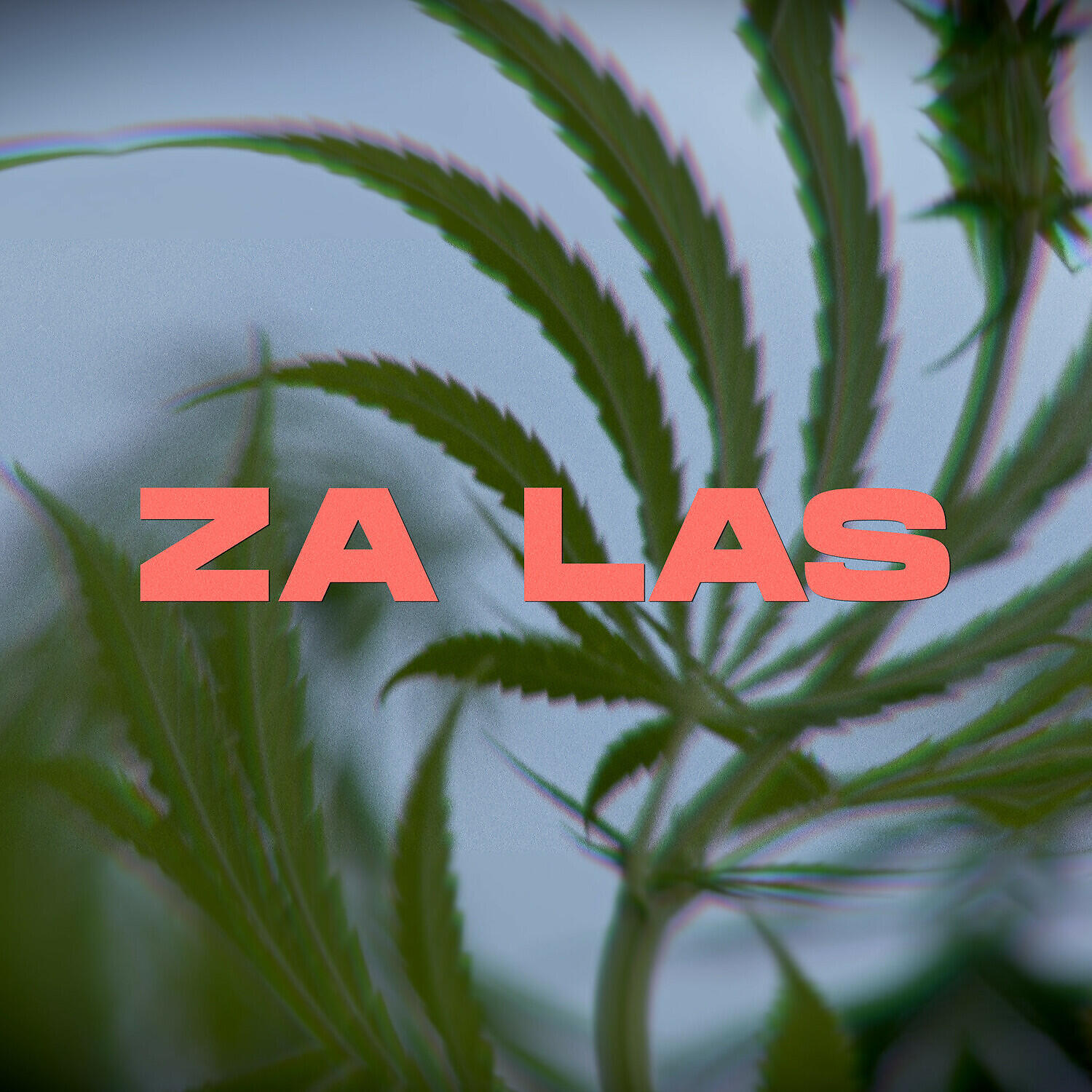 Aloha Opus Magnum - Za las