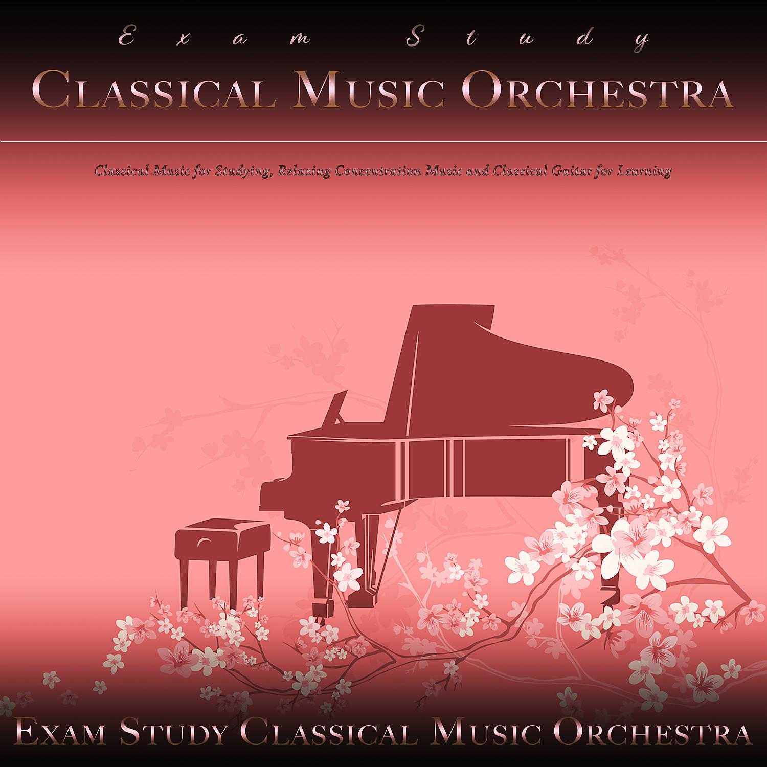 Постер альбома Exam Study Classical Music Orchestra: Classical Music for Studying, Relaxing Concentration Music and Classical Guitar for Learning