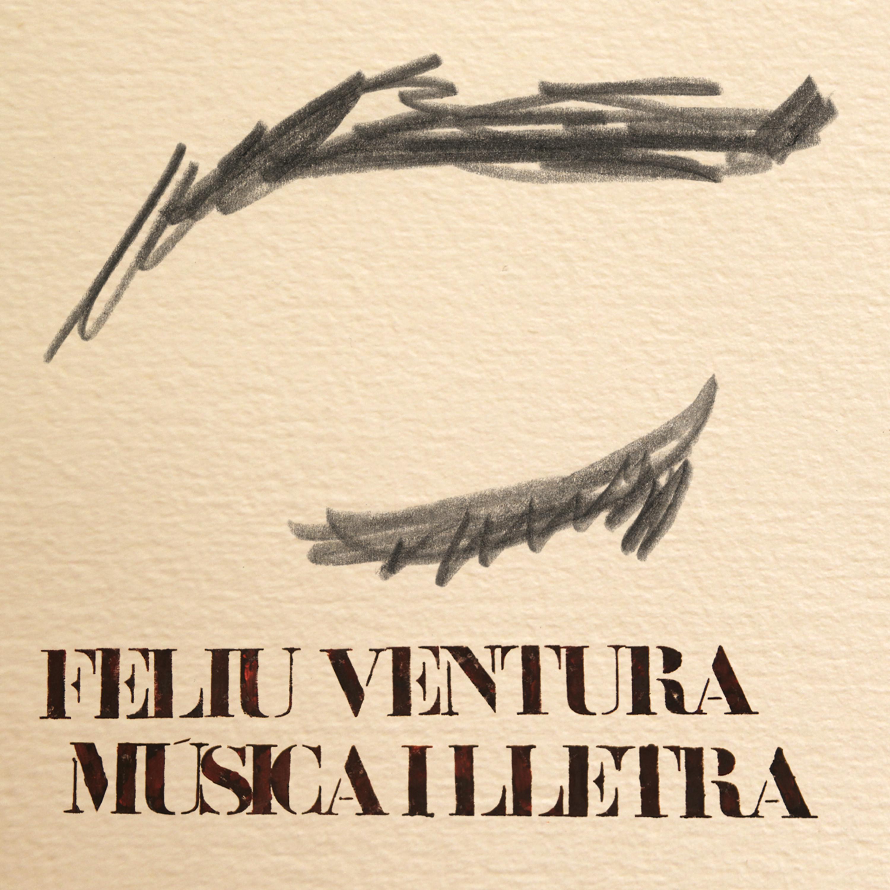 Постер альбома Música i lletra