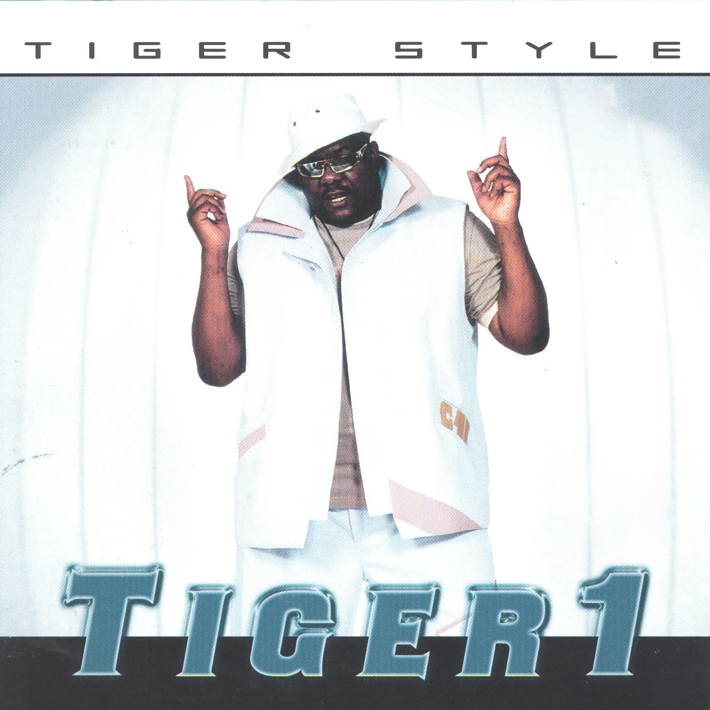 Постер альбома Tiger Style