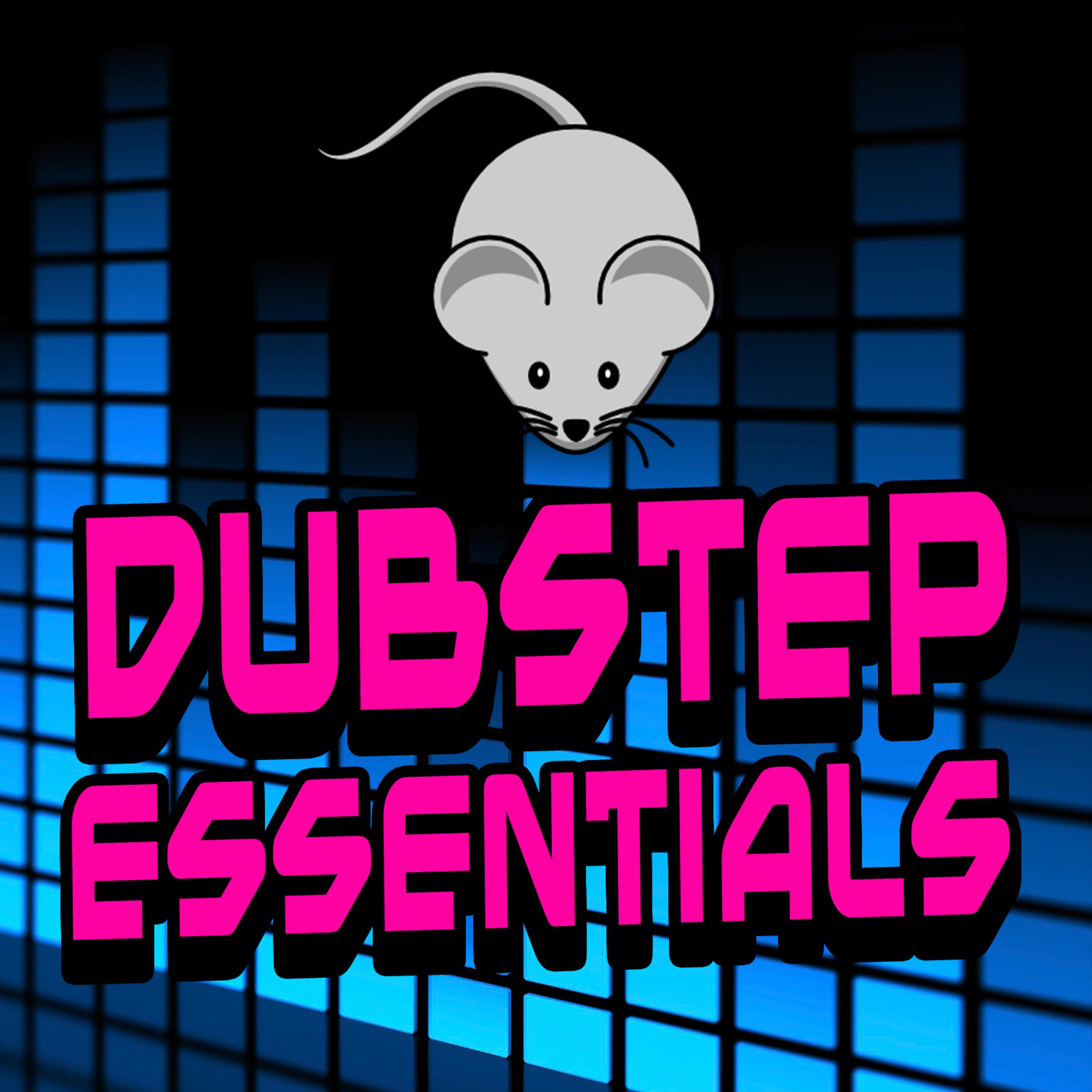 Постер альбома Dubstep Essentials