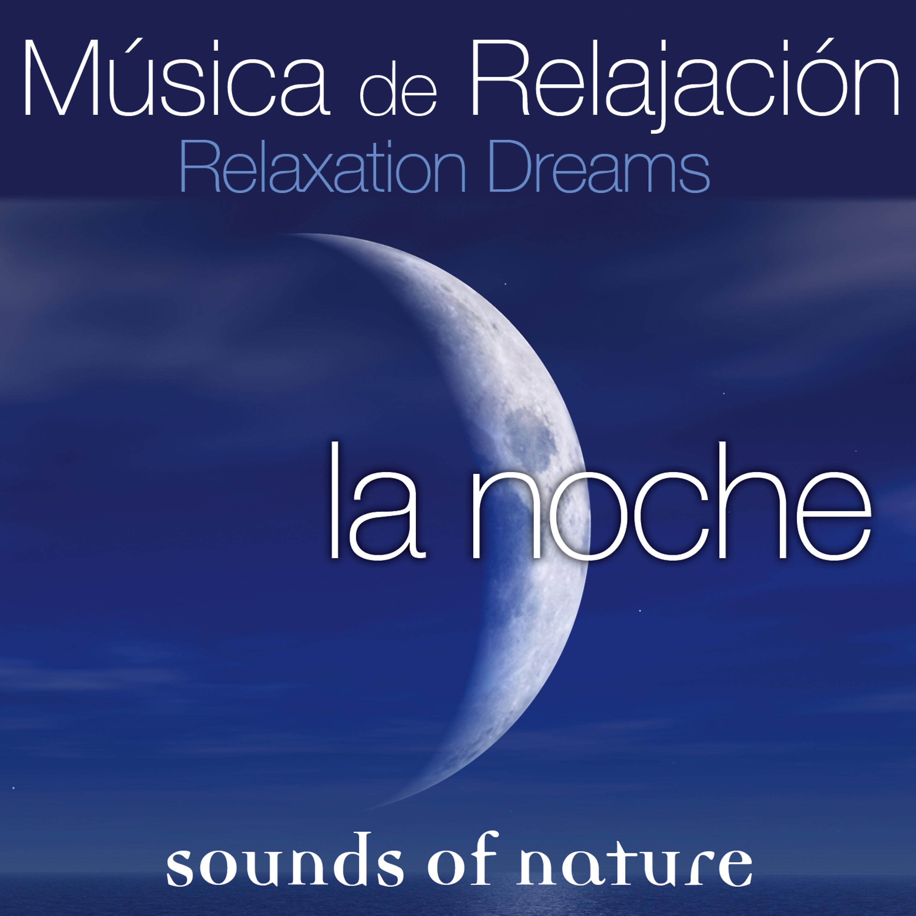 Постер альбома Relaxing Dreams, Música de Relajación