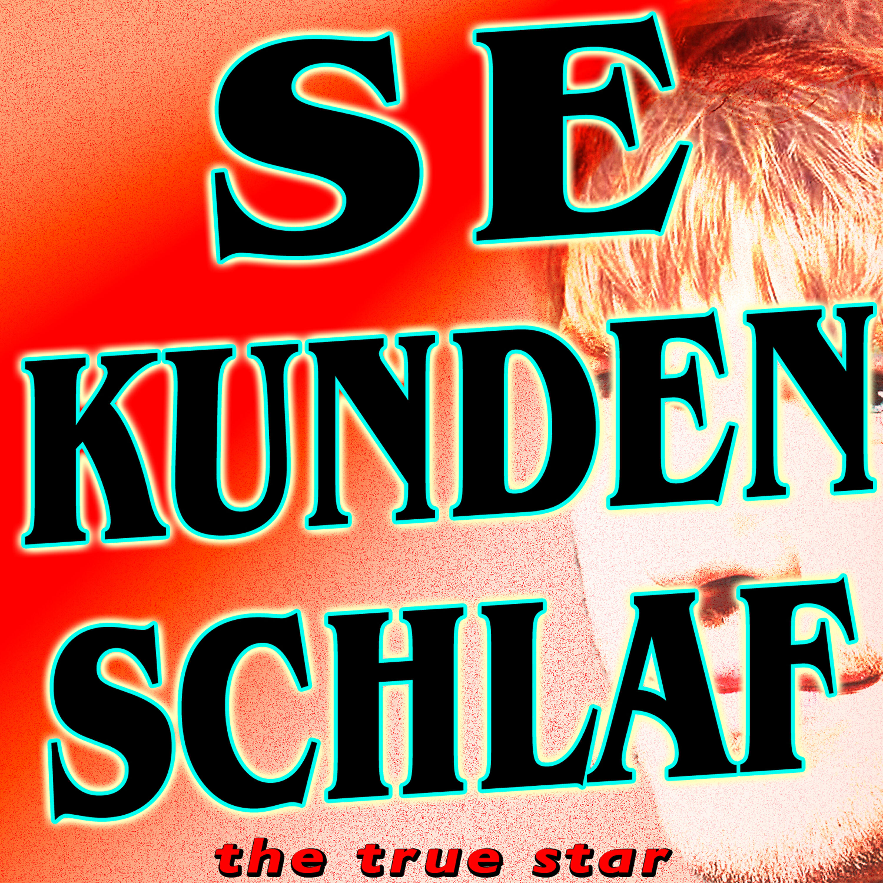 The True Star - Sekundenschlaf (Seeed Remix)