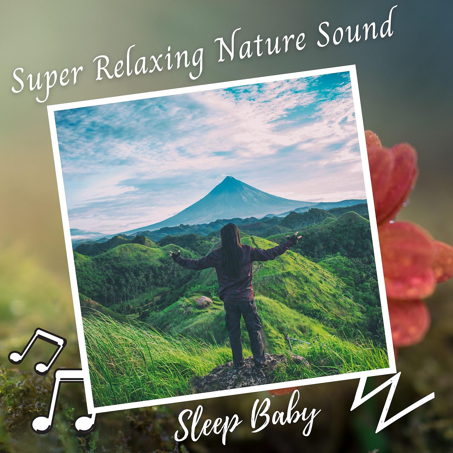 Постер альбома Sleep Baby: Super Relaxing Nature Sound