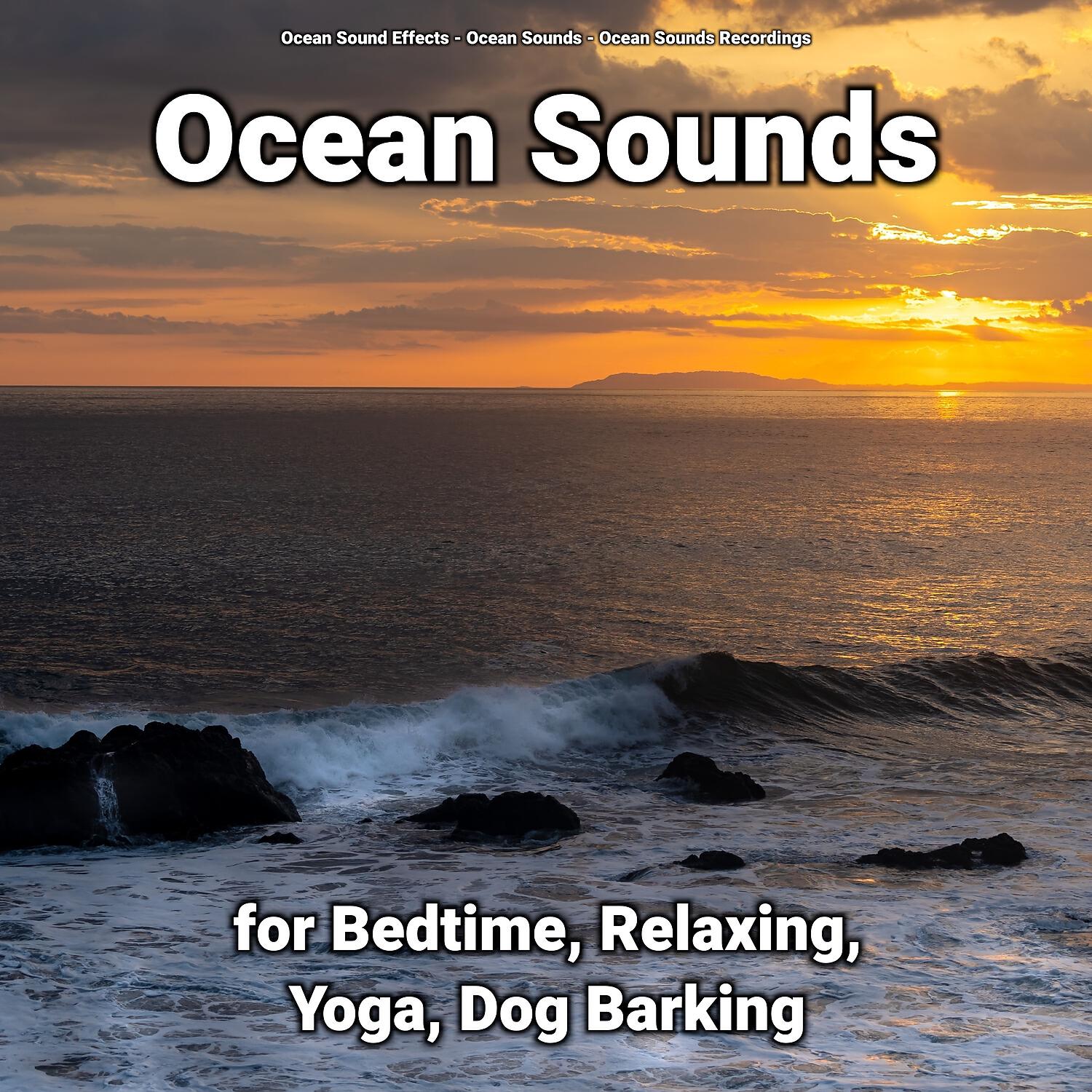 Ocean Sound Effects - Relaxing Ocean Beach