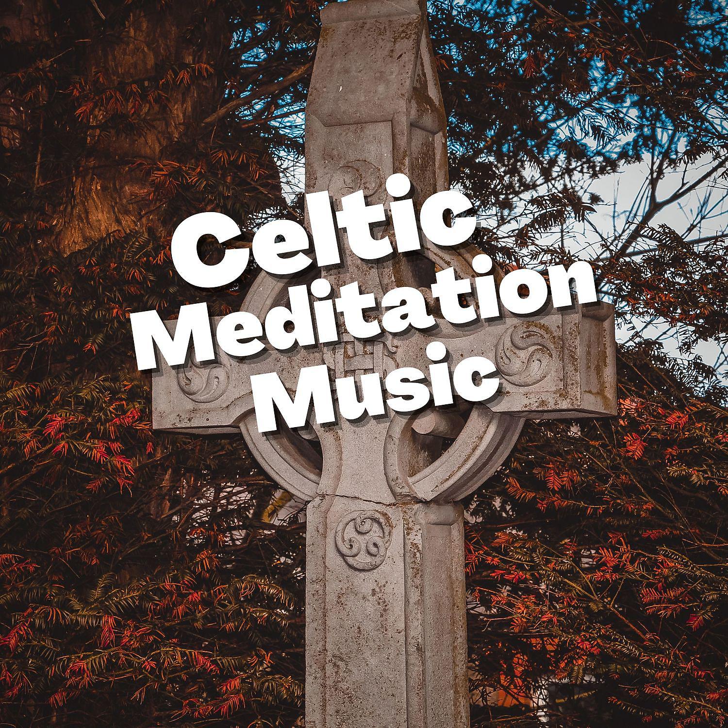 Постер альбома Celtic Meditation Music