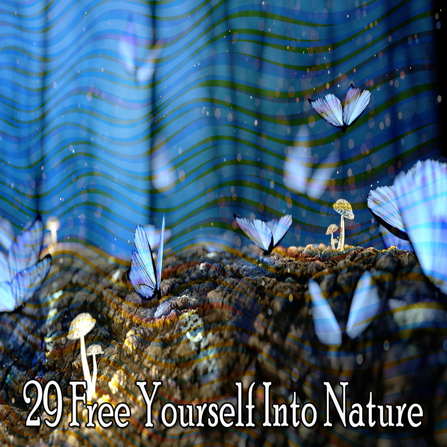 Постер альбома 29 Освободитесь в природе