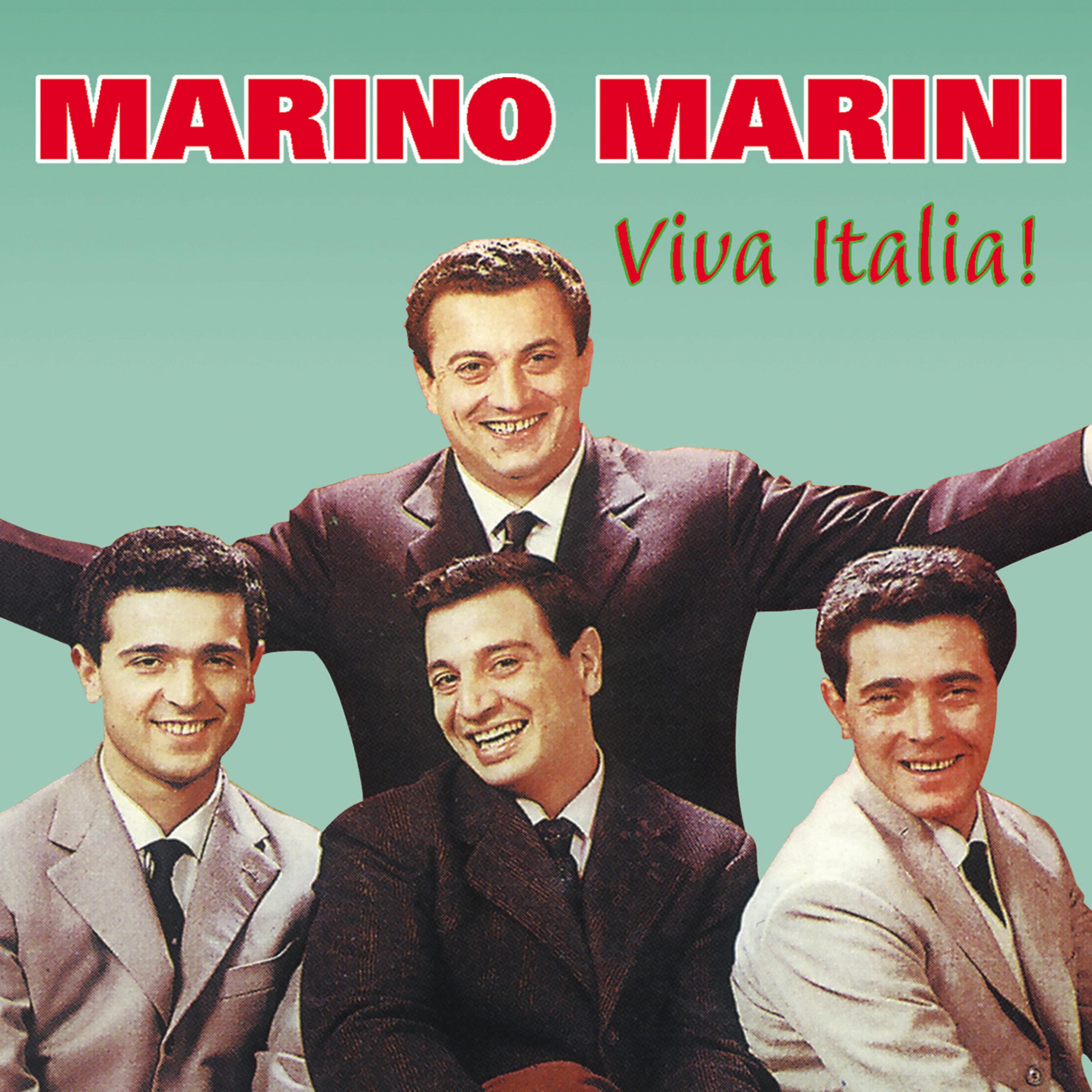 Постер альбома Viva Italia