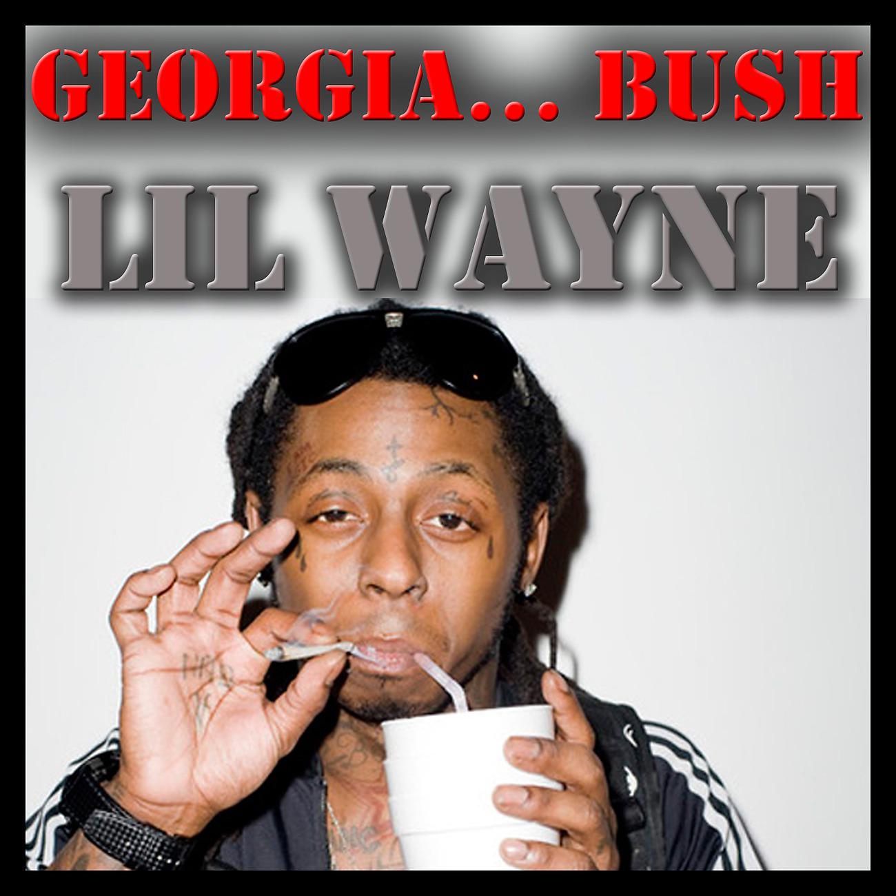 Постер альбома Georgia… Bush