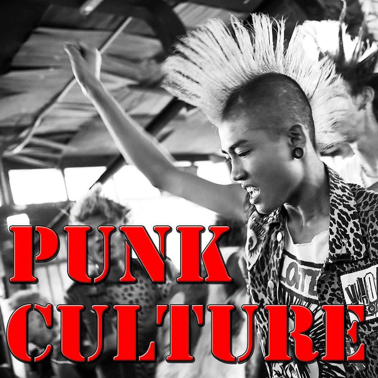 Постер альбома Punk Culture, Vol.2