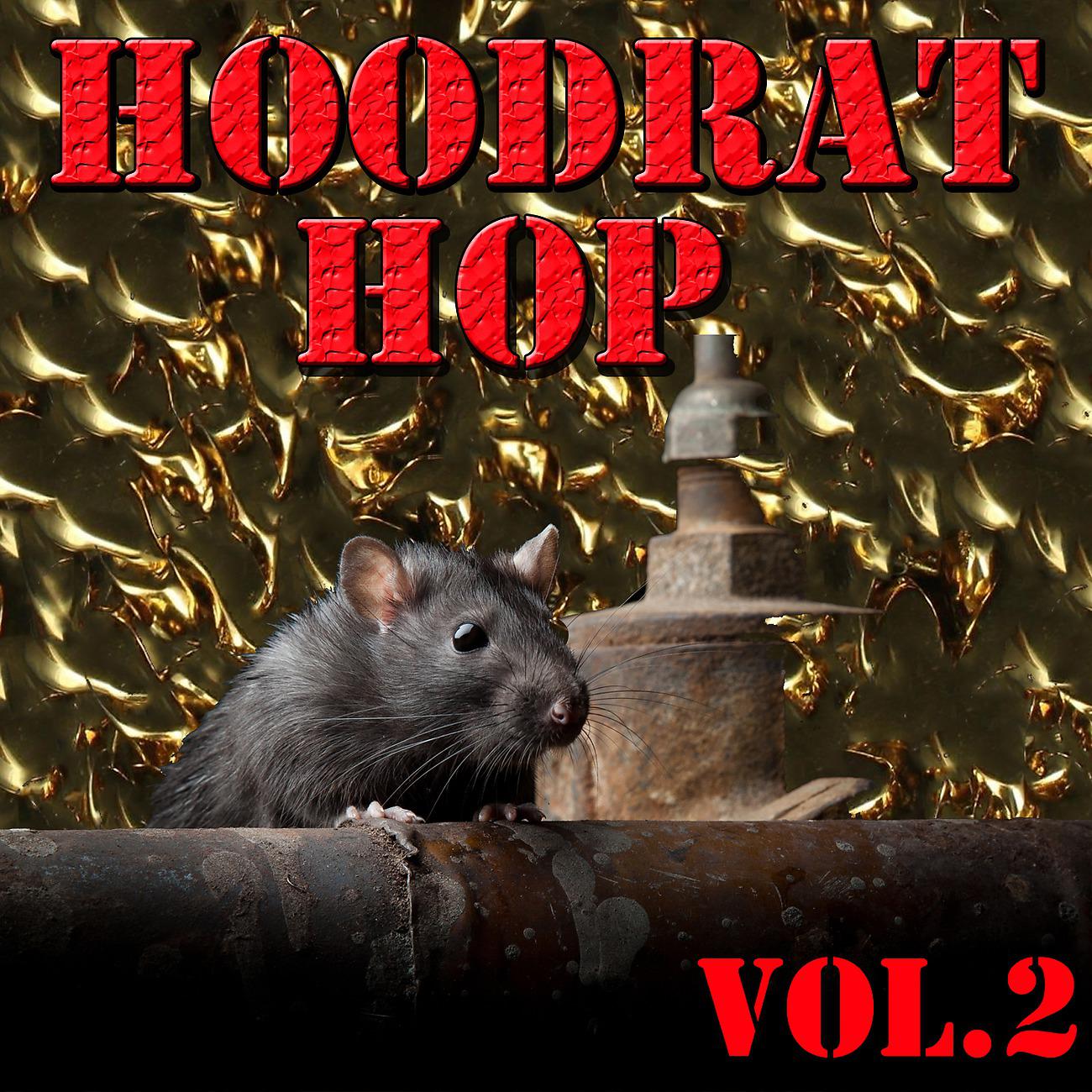 Постер альбома Hoodrat Hop, Vol.2