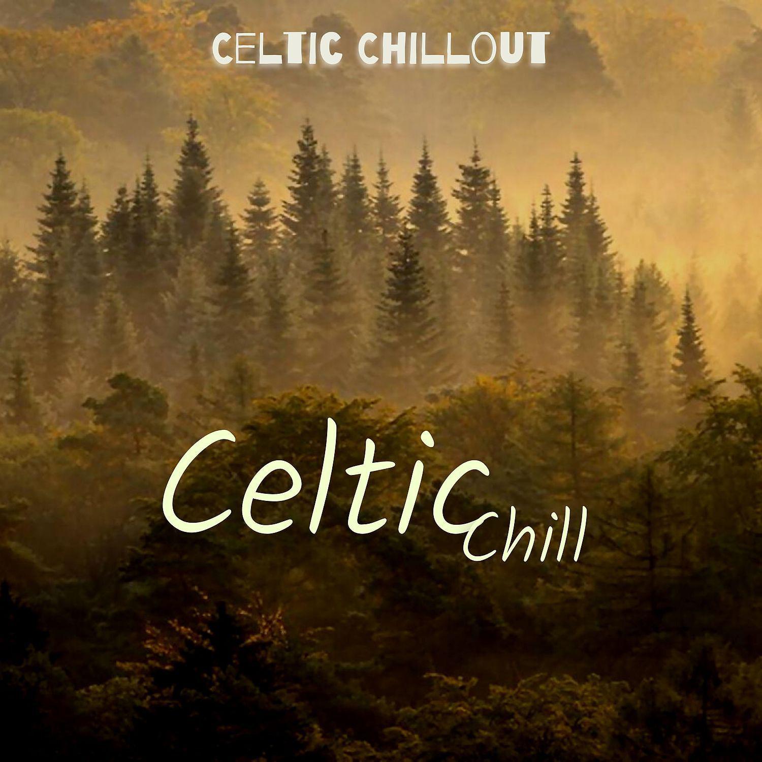 Постер альбома Celtic Chill for Deep Sleep & Dreaming
