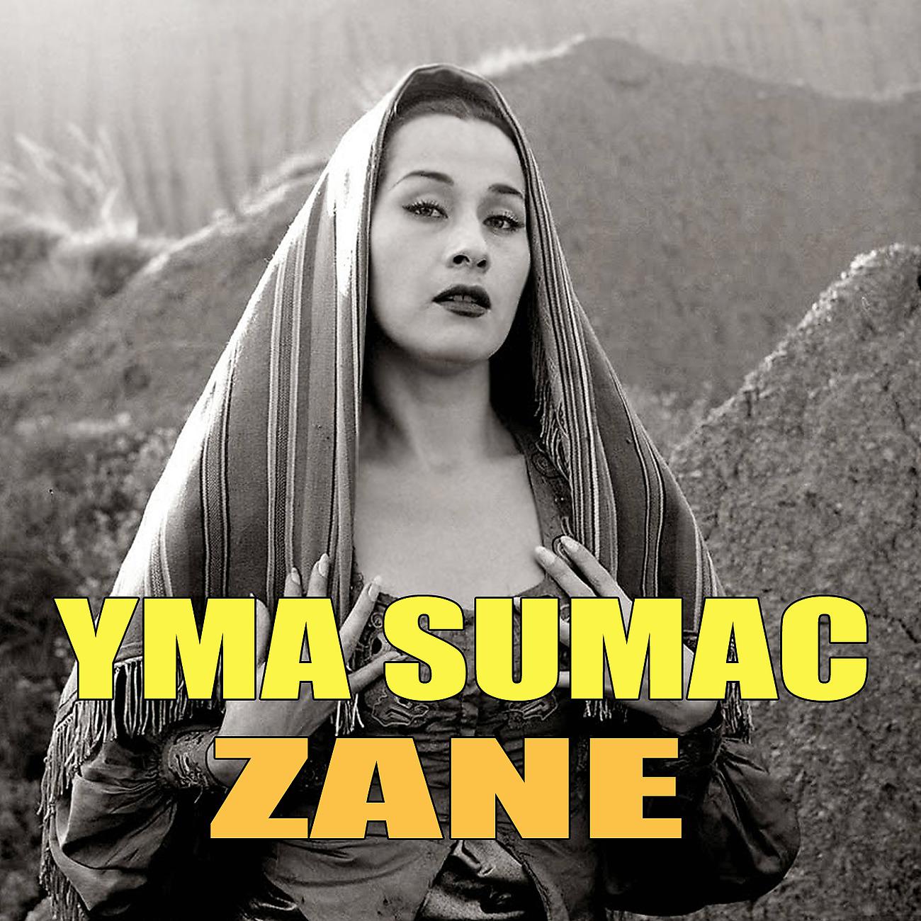Постер альбома Zane