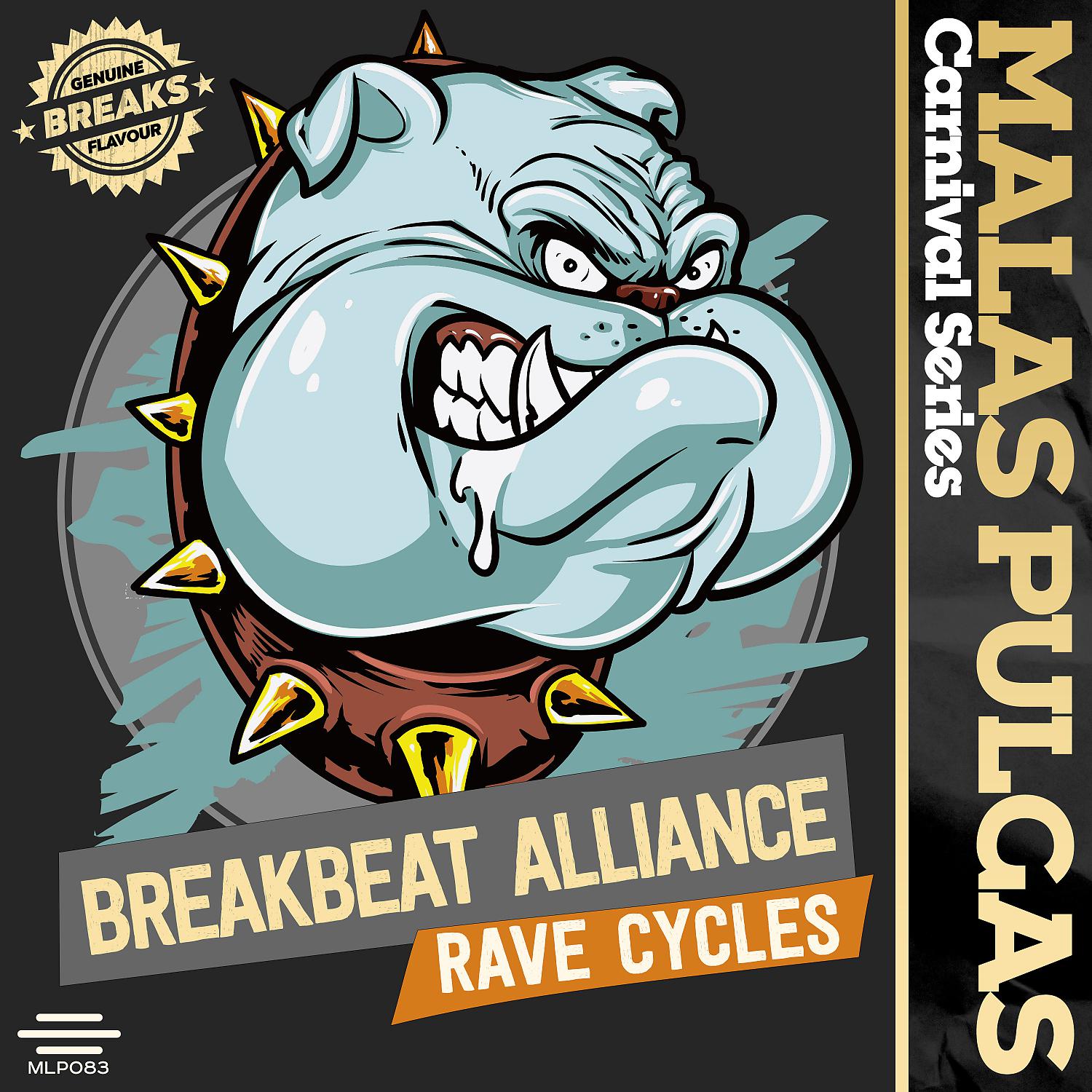 Постер альбома Rave Cycles