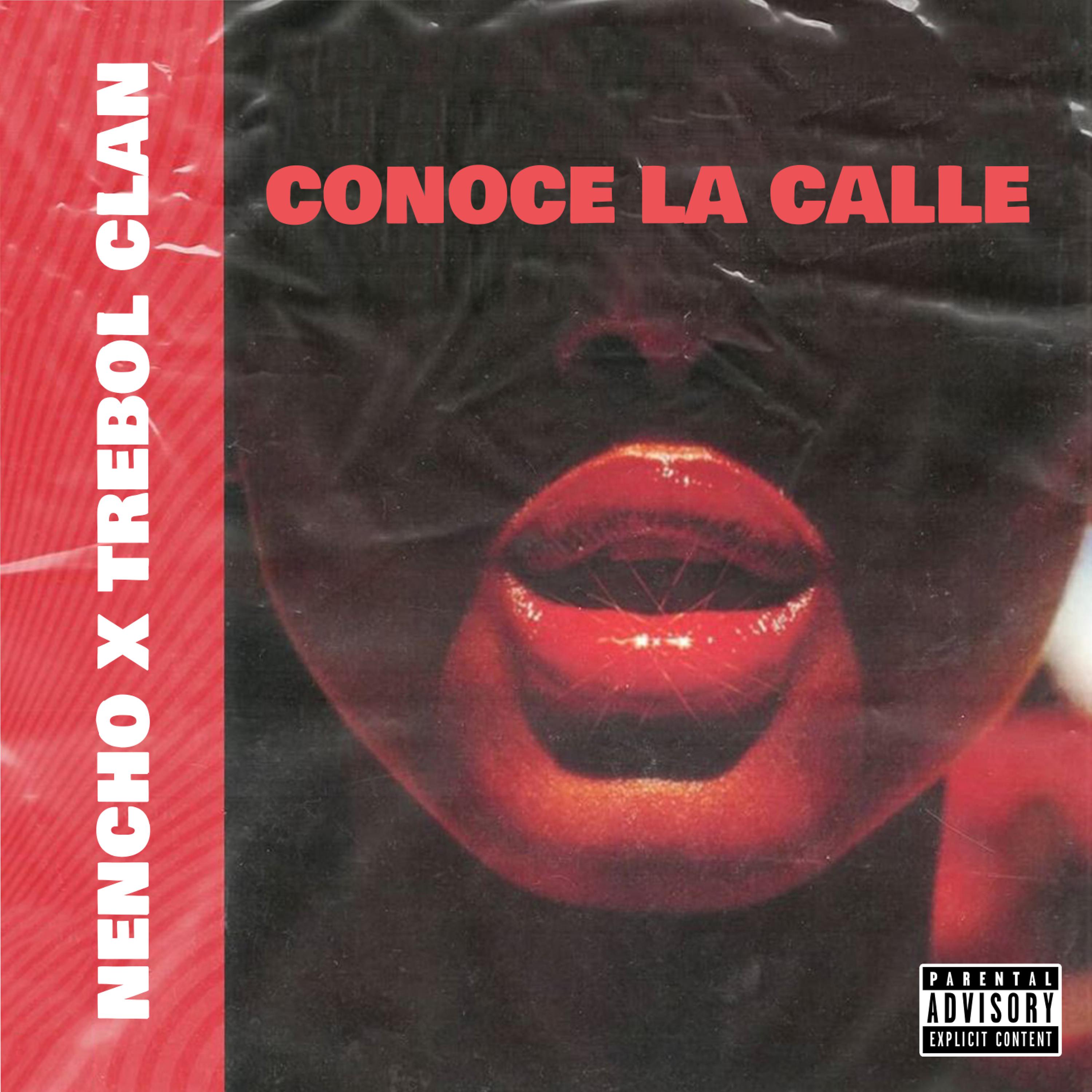 Постер альбома Conoce la Calle