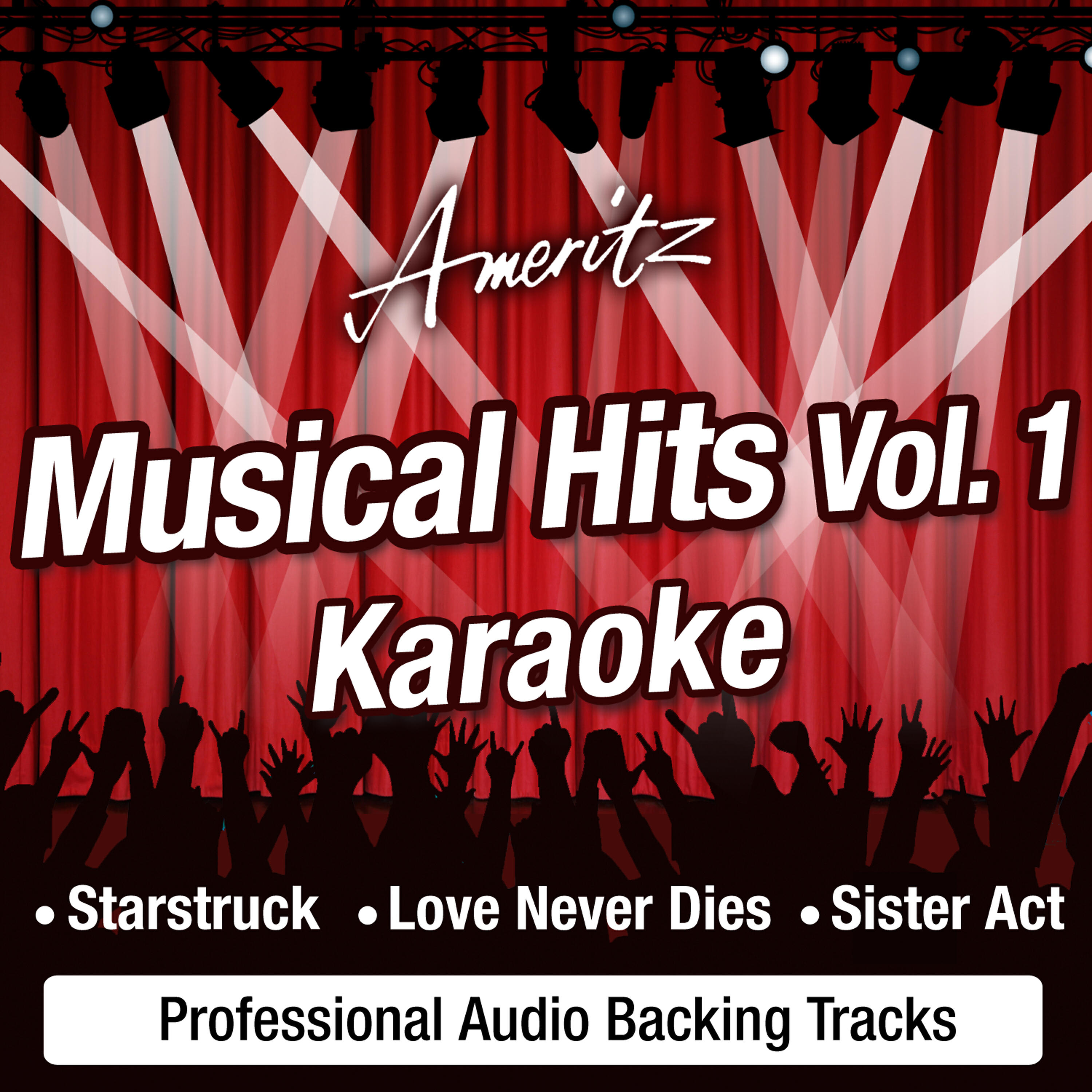 Ameritz Karaoke Band - Something About The Sunshine (In The Style Of StarStruck - The Soundtrack)