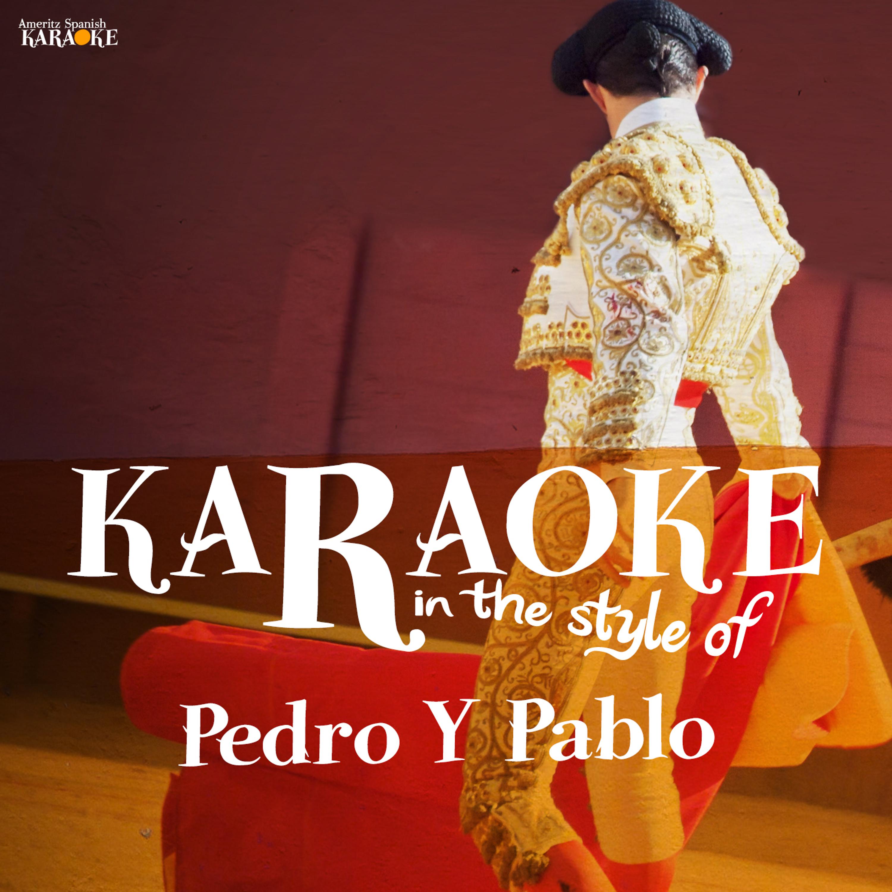 Постер альбома Karaoke - In the Style of Pedro Y Pablo