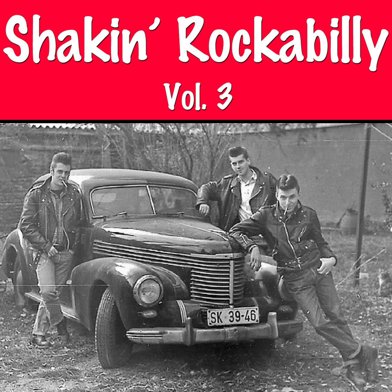 Mickey Hawks - Bip Bop Boom