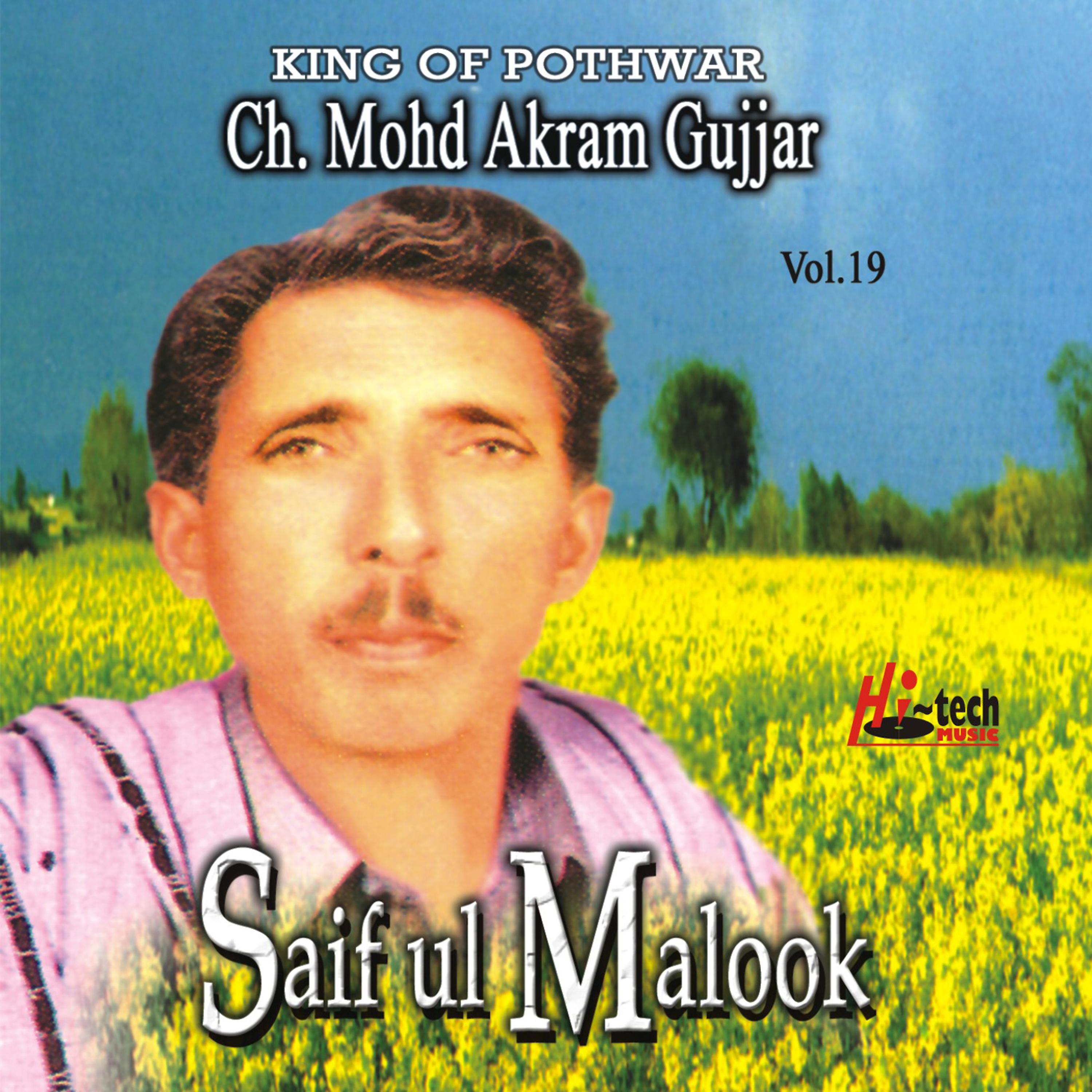 Постер альбома Saif Ul Malook Vol. 19 - Pothwari Ashairs