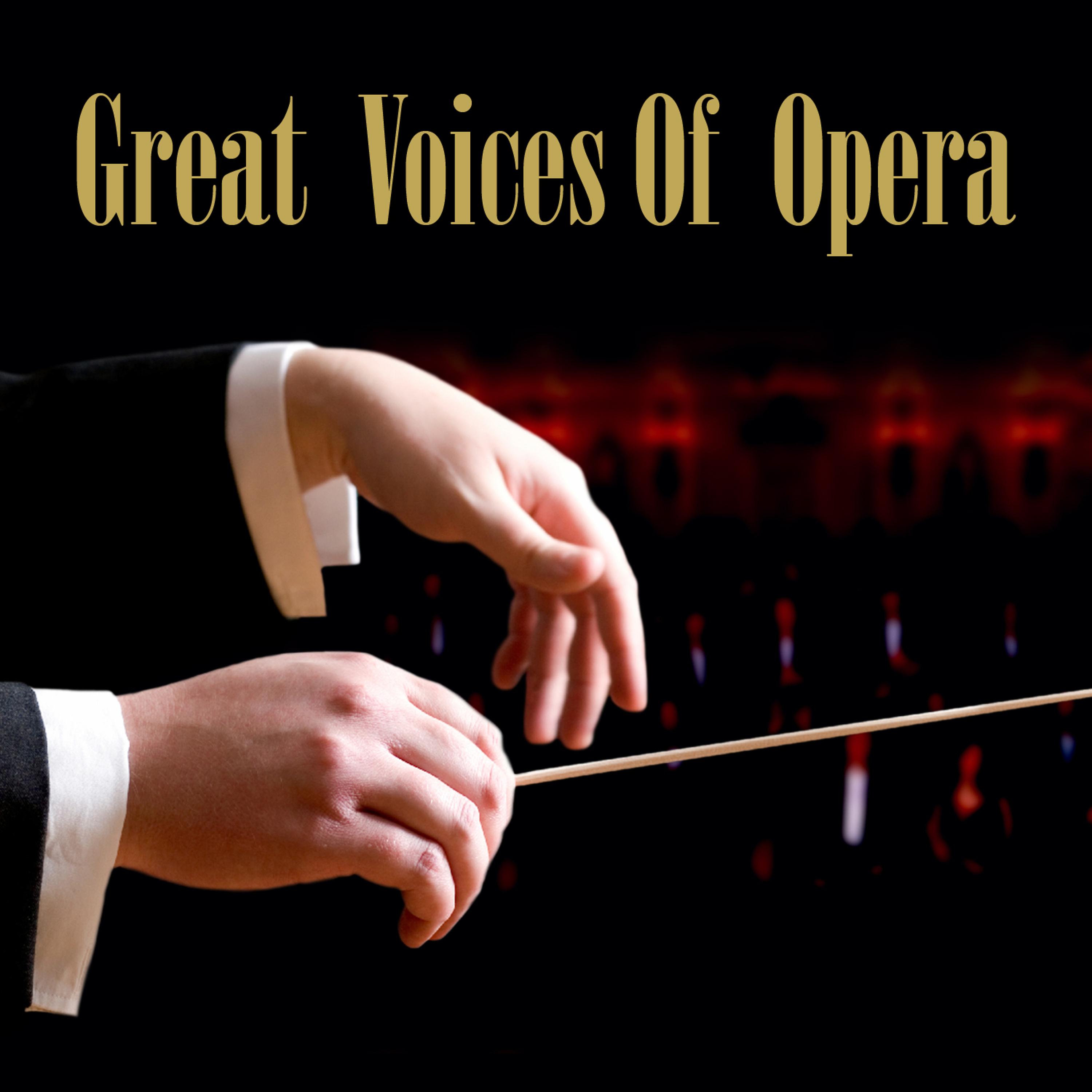 Постер альбома Great Voices Of Opera