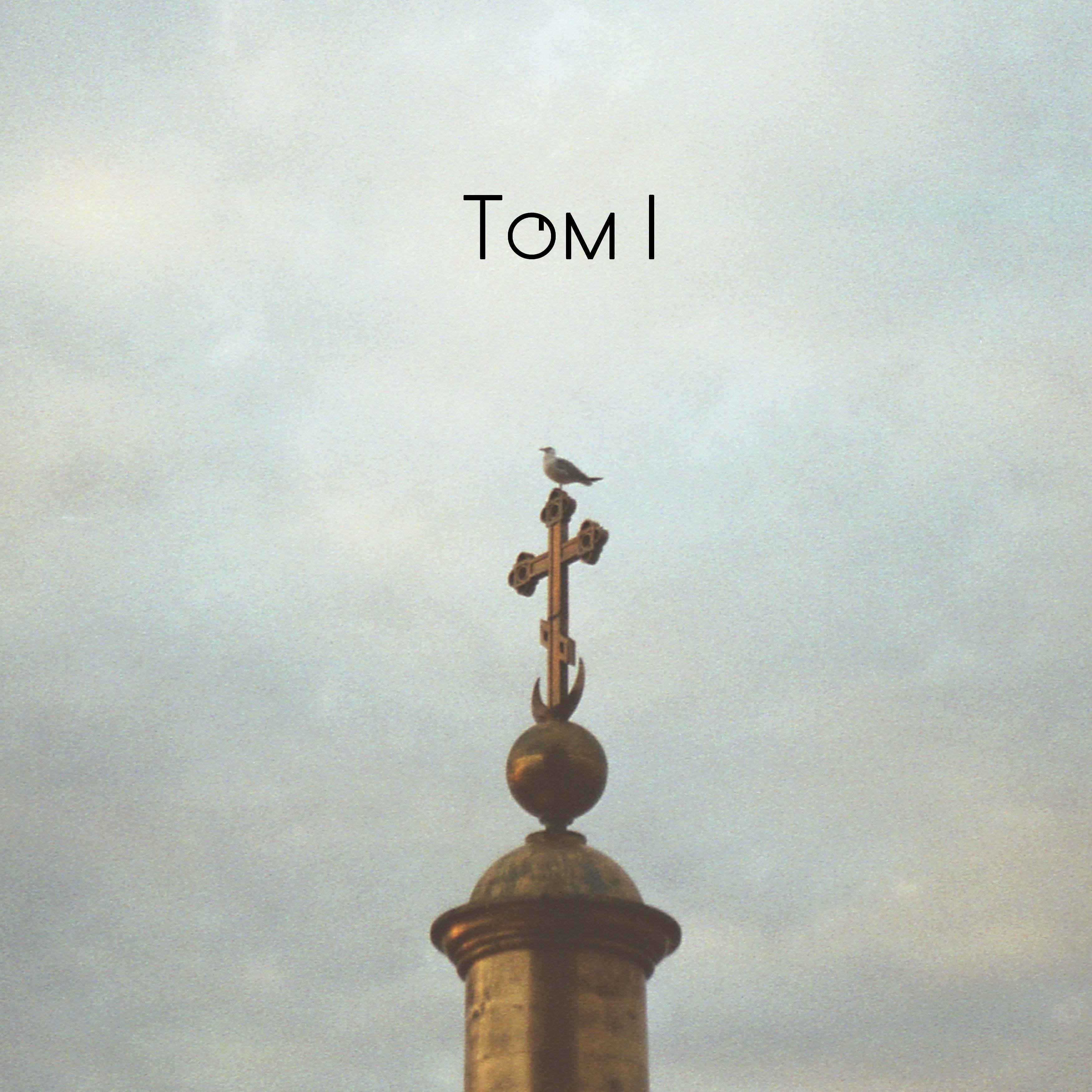 Постер альбома Том I