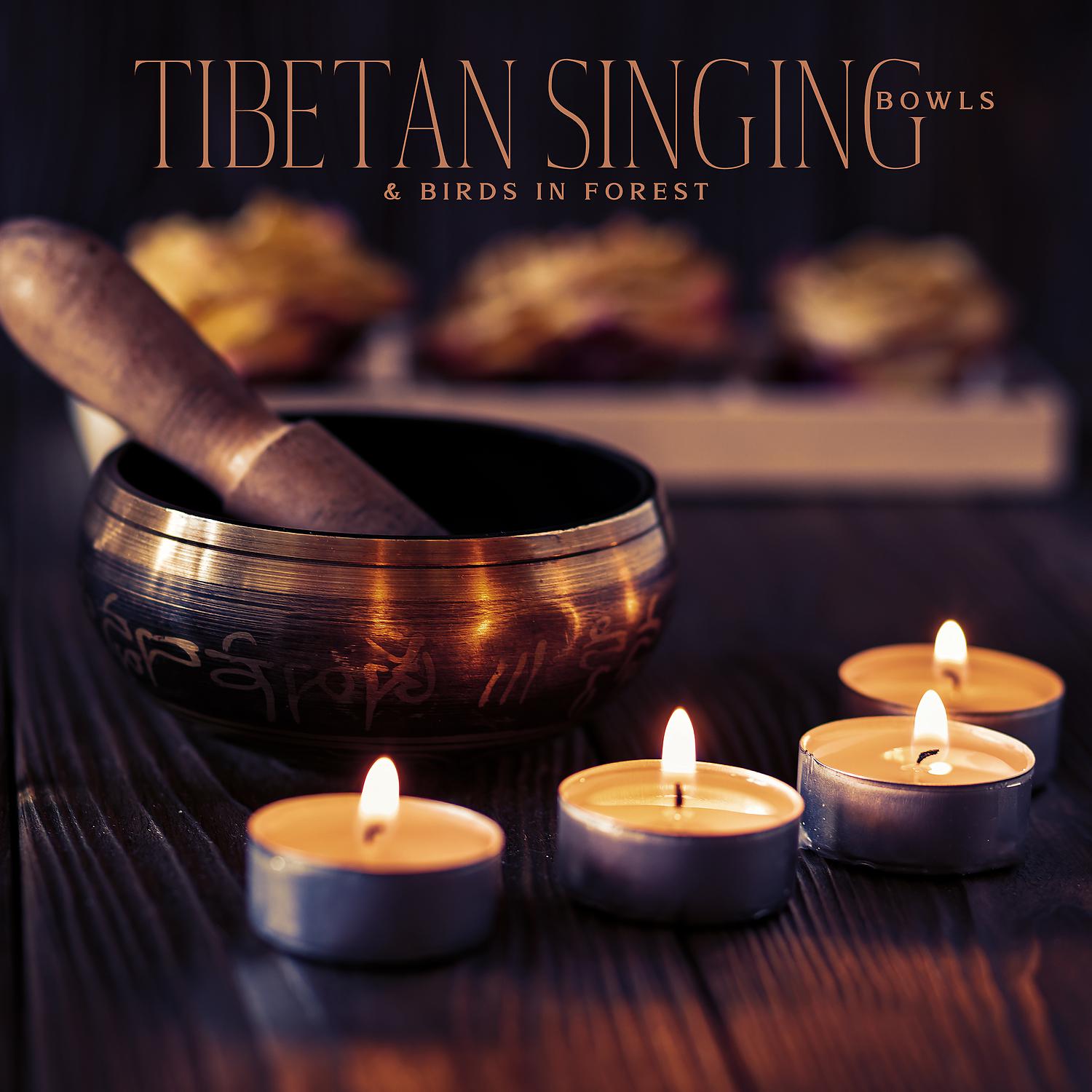 Постер альбома Tibetan Singing Bowls & Birds in Forest: 1 Hours Meditation Music