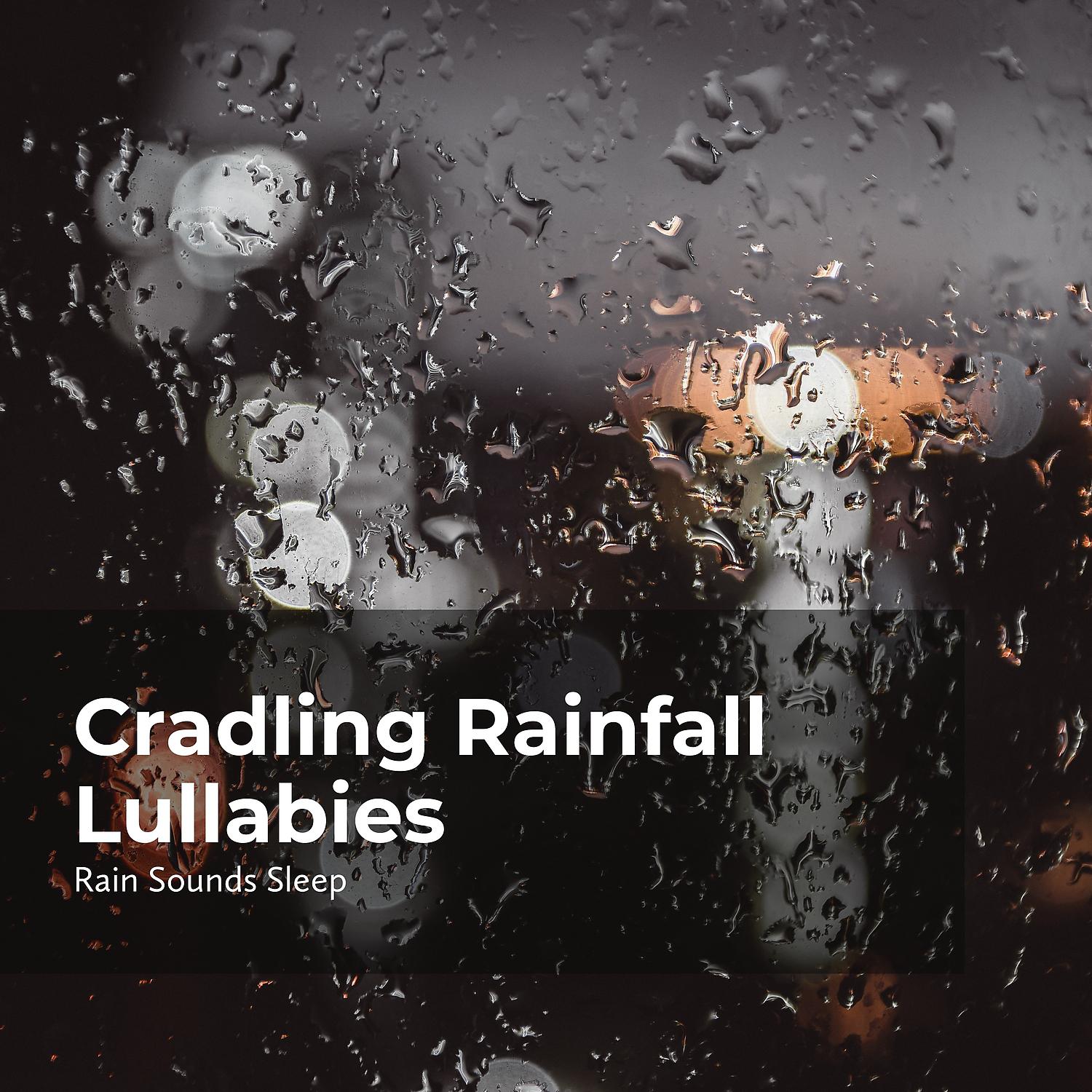 Постер альбома Cradling Rainfall Lullabies