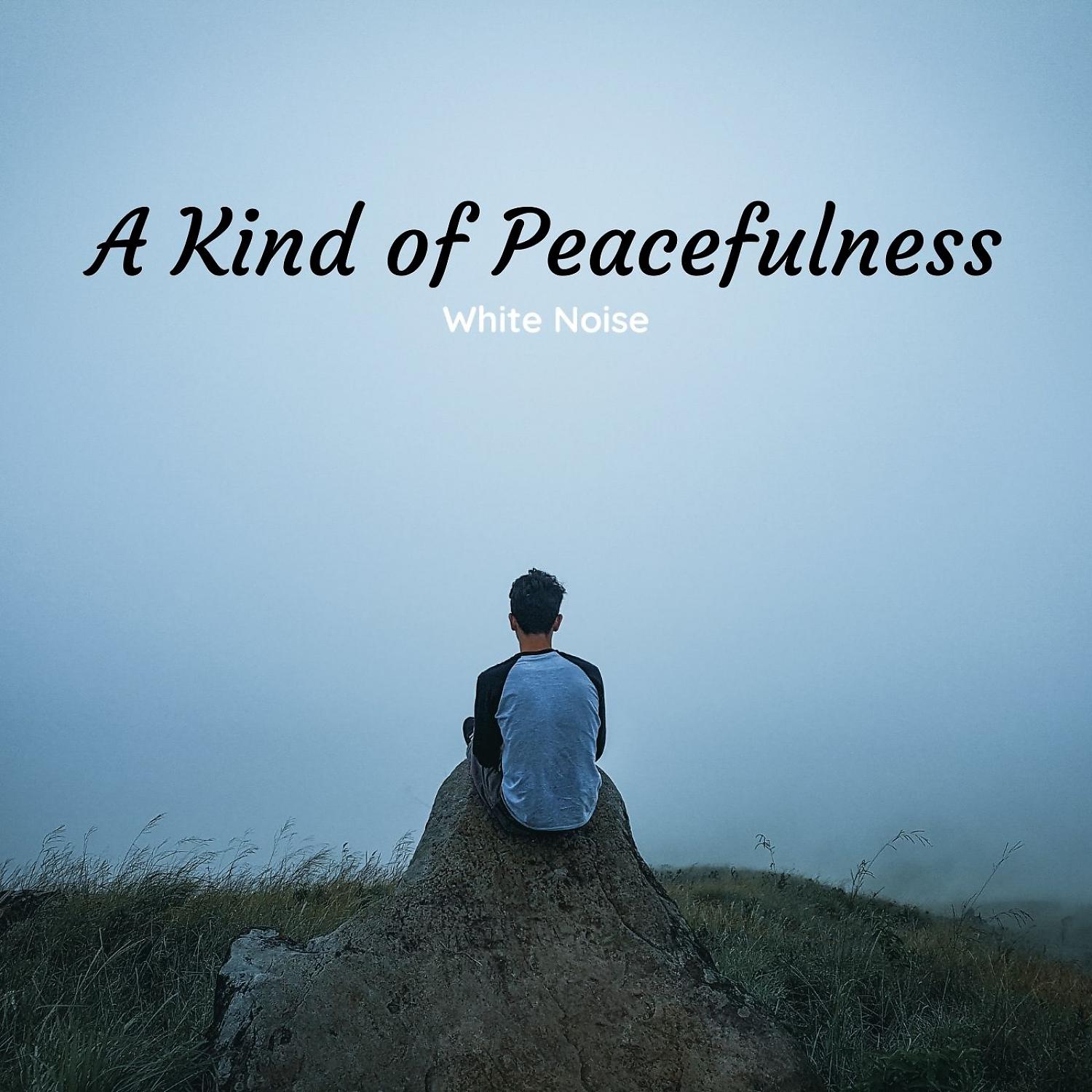 Постер альбома White Noise: A Kind of Peacefulness