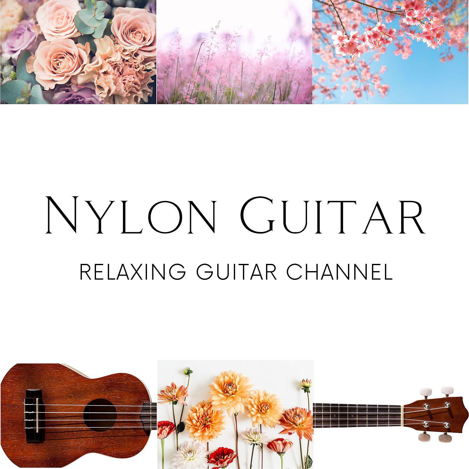 Постер альбома Nylon Guitar & Serenity Sounds of Nature