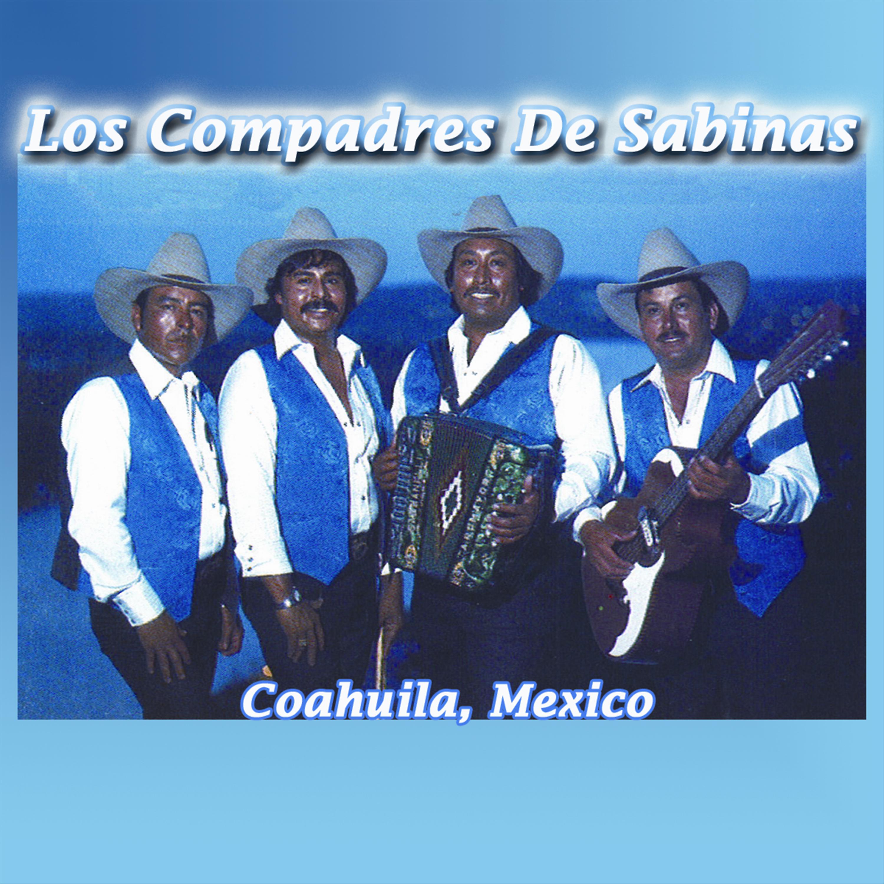 Постер альбома Los Compadres De Salinas Coahuila, Mexico