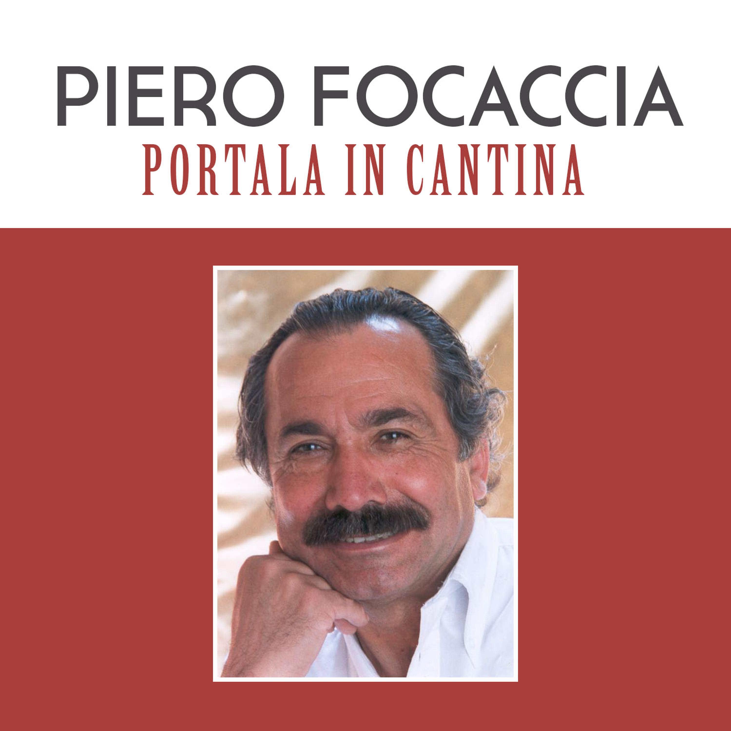 Постер альбома Portala in cantina
