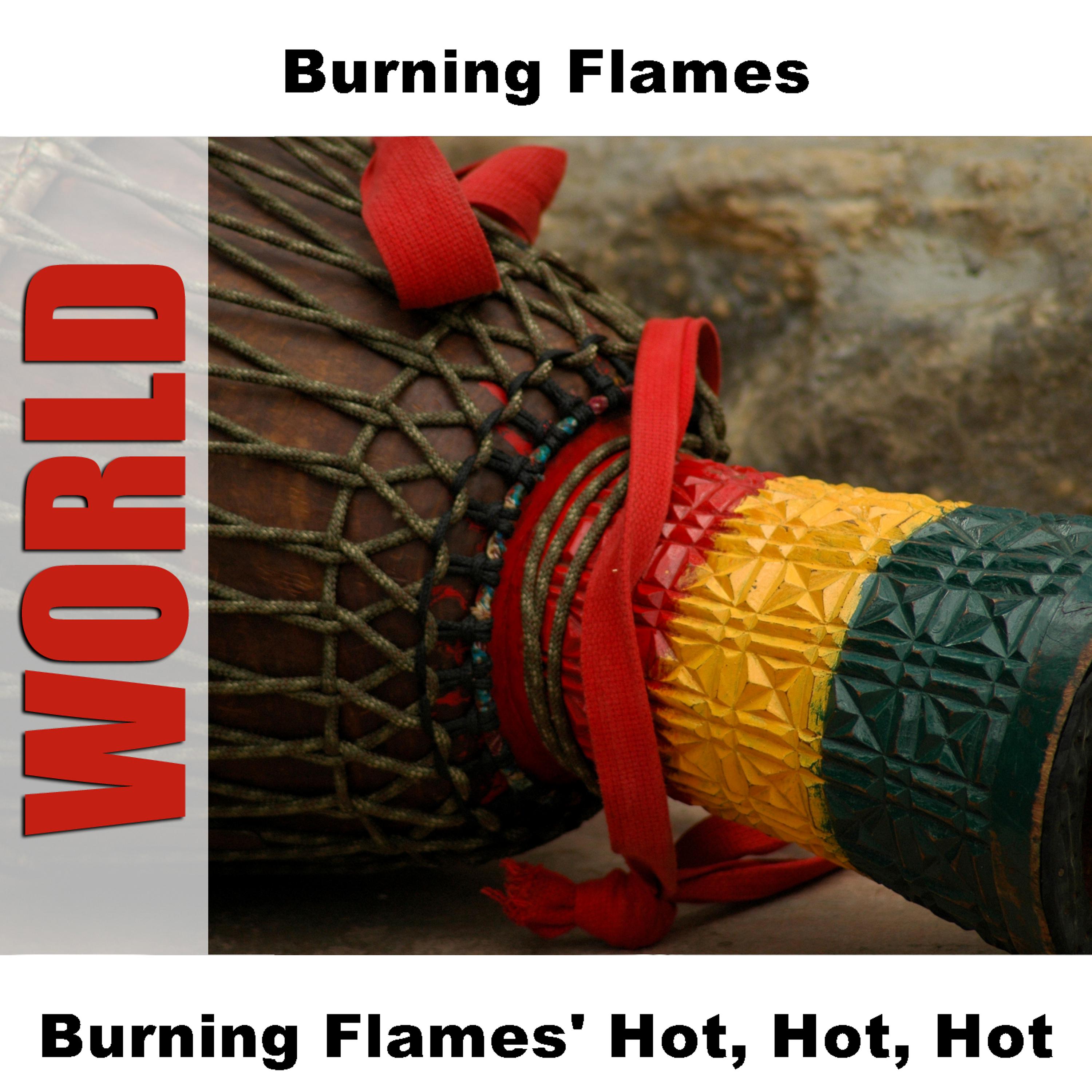 Постер альбома Burning Flames' Hot, Hot, Hot