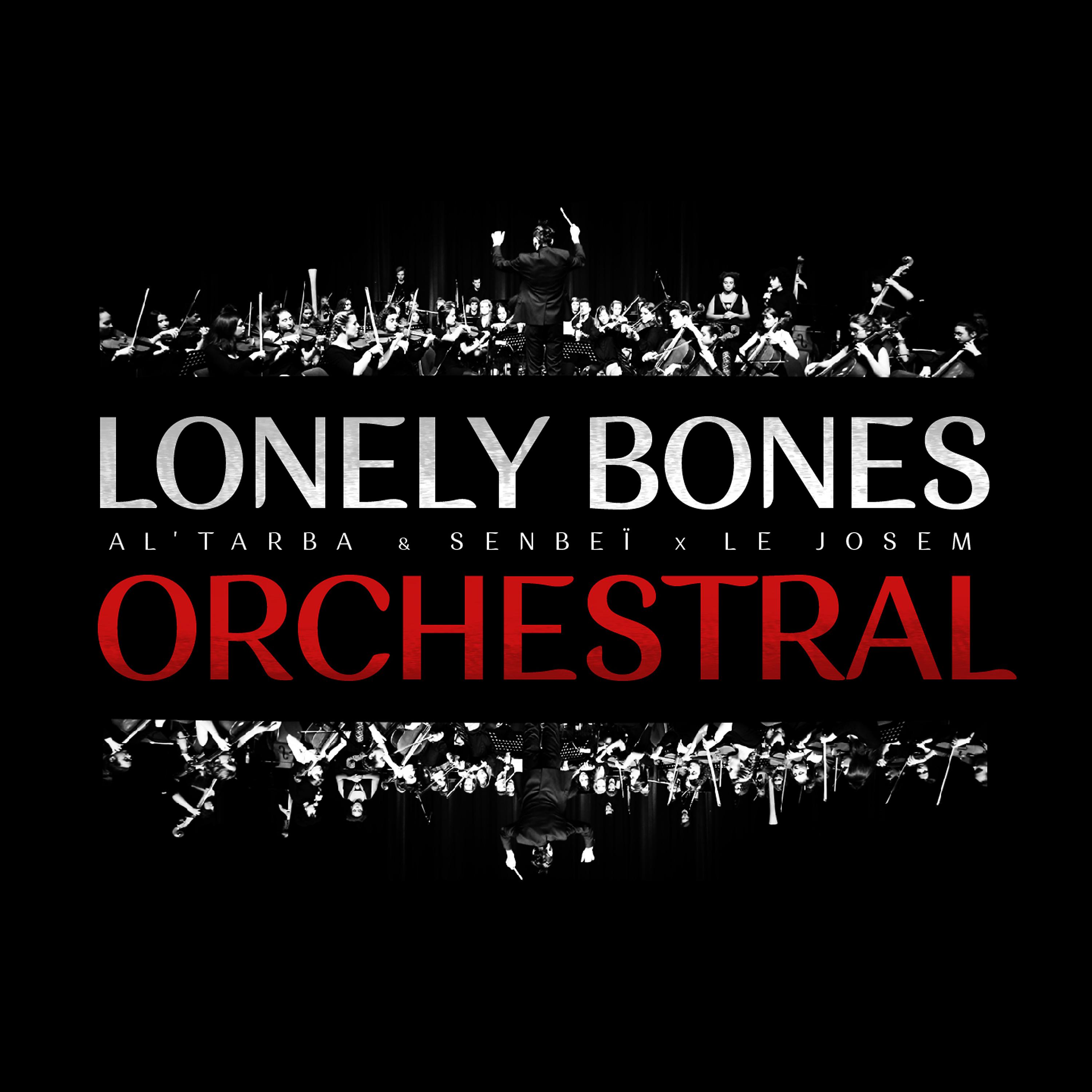 Постер альбома Lonely Bones