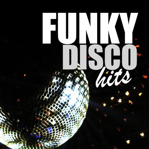 Постер альбома Funky Disco Hits