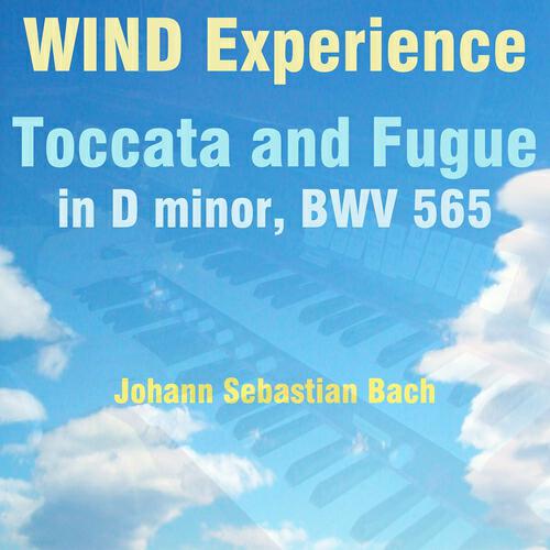 Adam Barnes - Toccata and Fugue in D Minor, BWV 565 (Wind Experience Version)