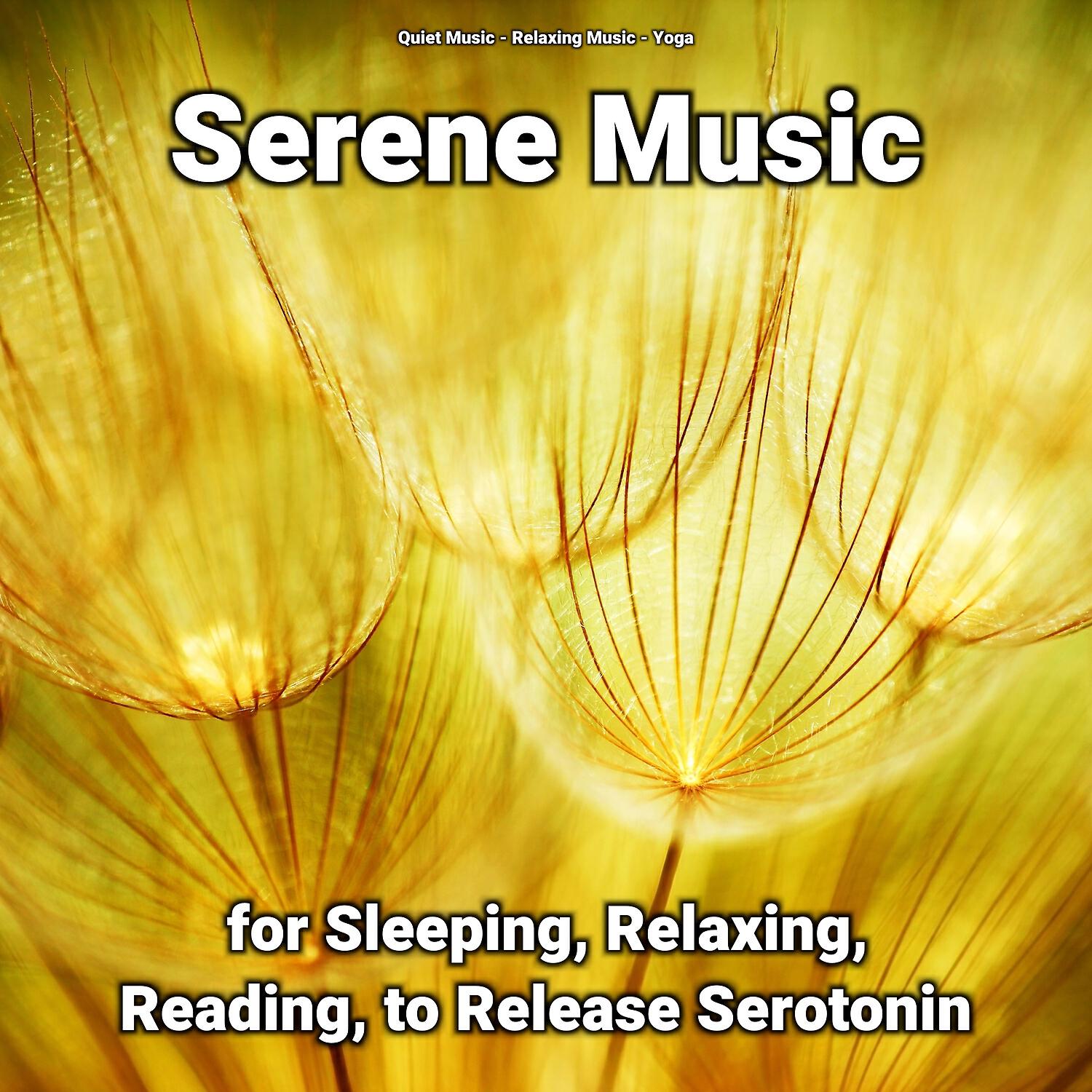 Quiet Music - Relaxation Music