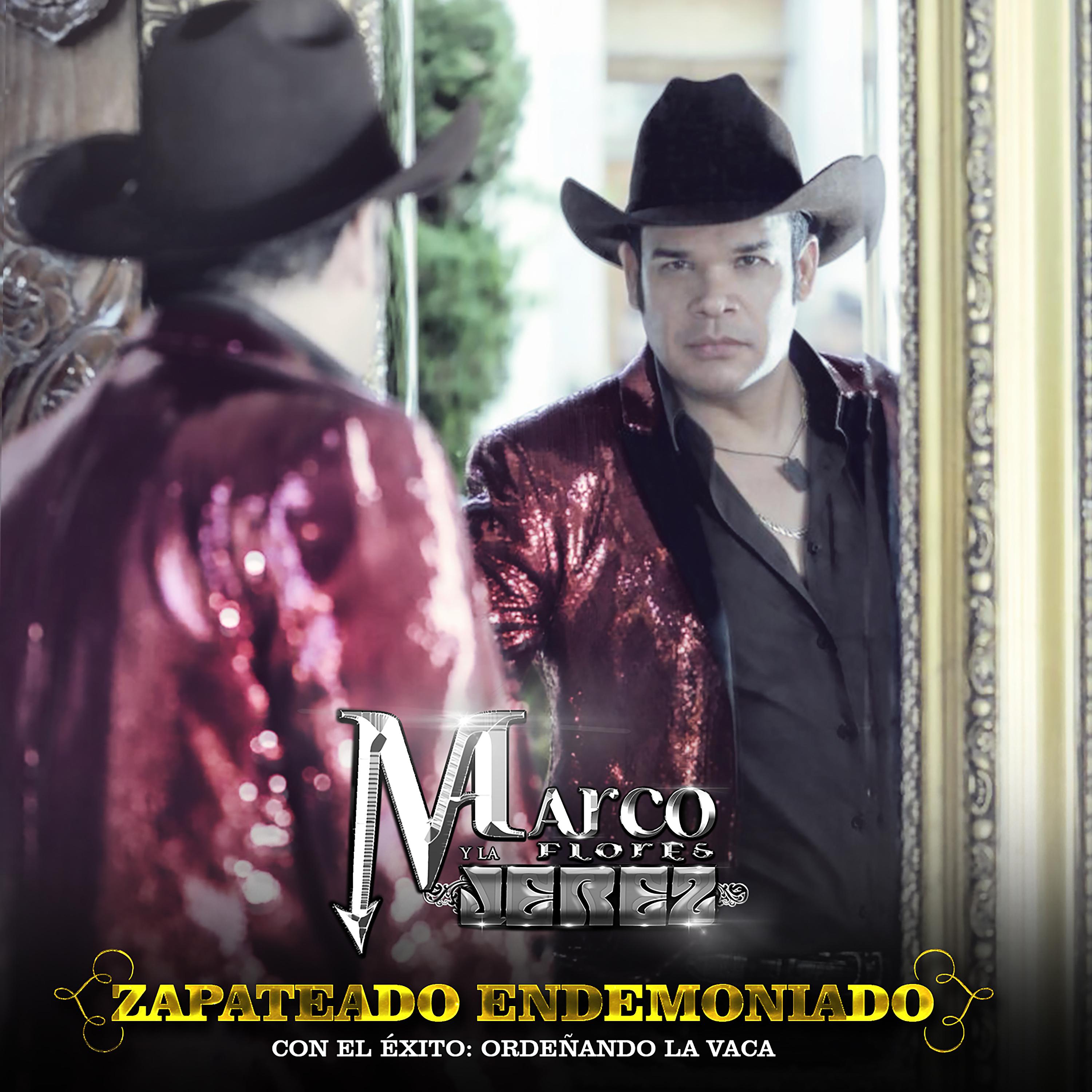 Постер альбома Zapateado Endemoniado