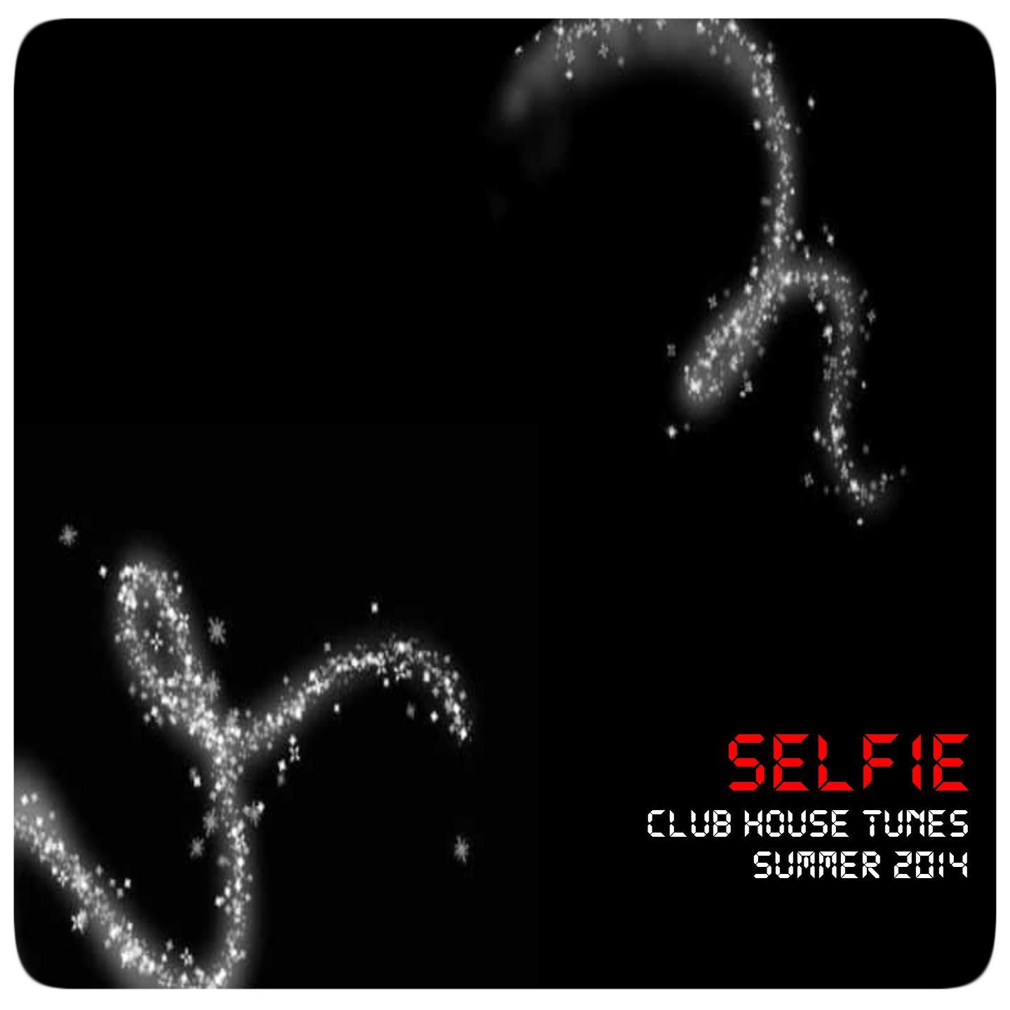 Постер альбома Selfie Club House Tunes: Summer 2014