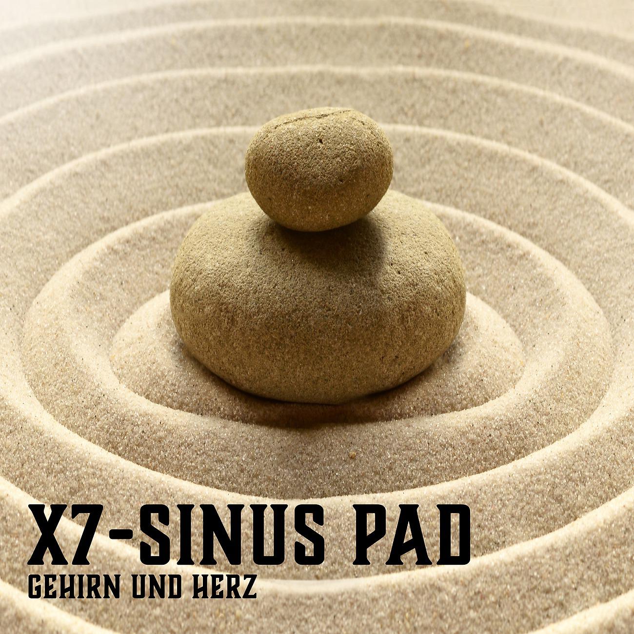 Постер альбома X7-Sinus Pad